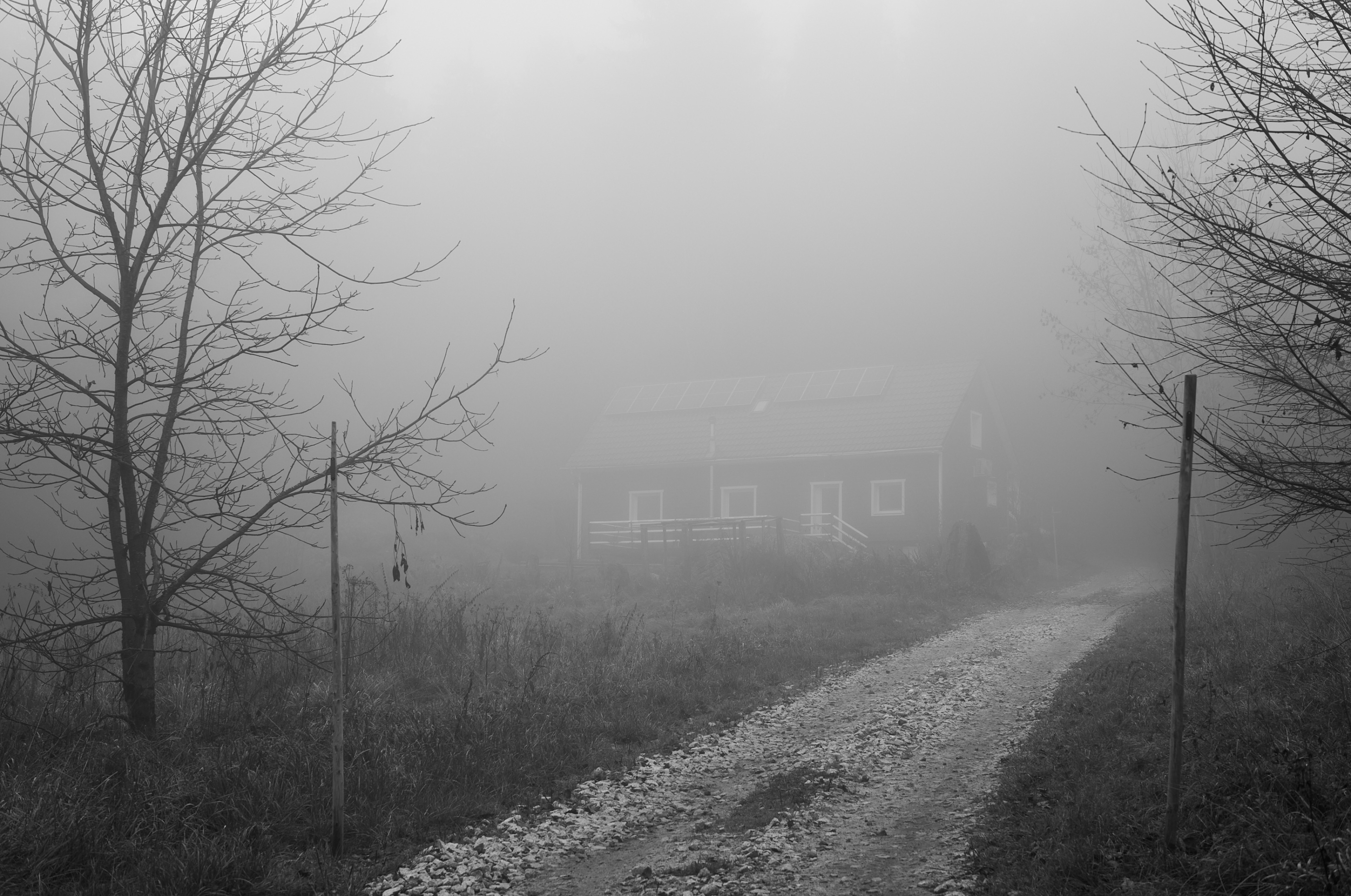 LEICA M11 Monochrom L1002600