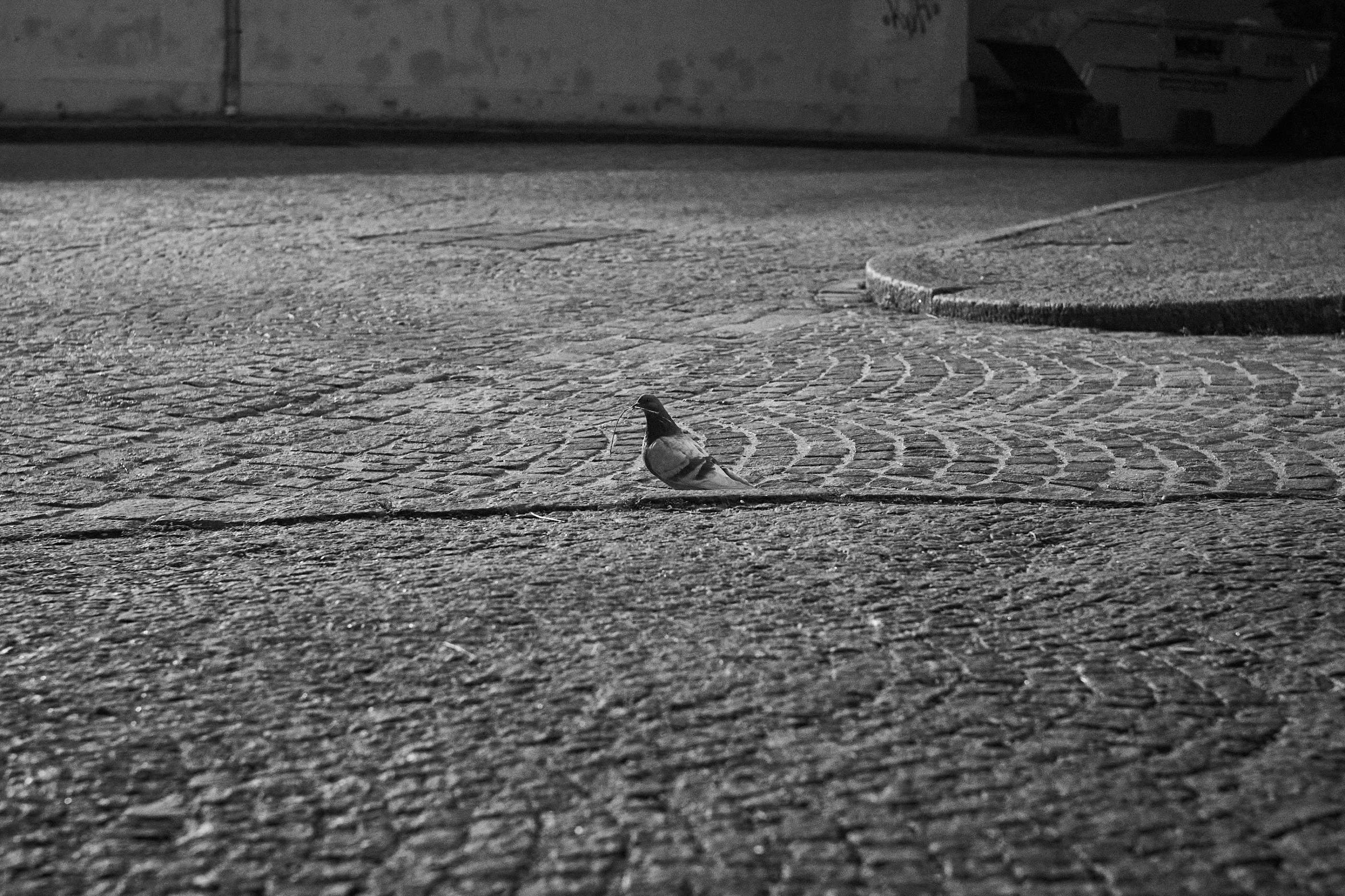 LEICA M11 Monochrom L1002613
