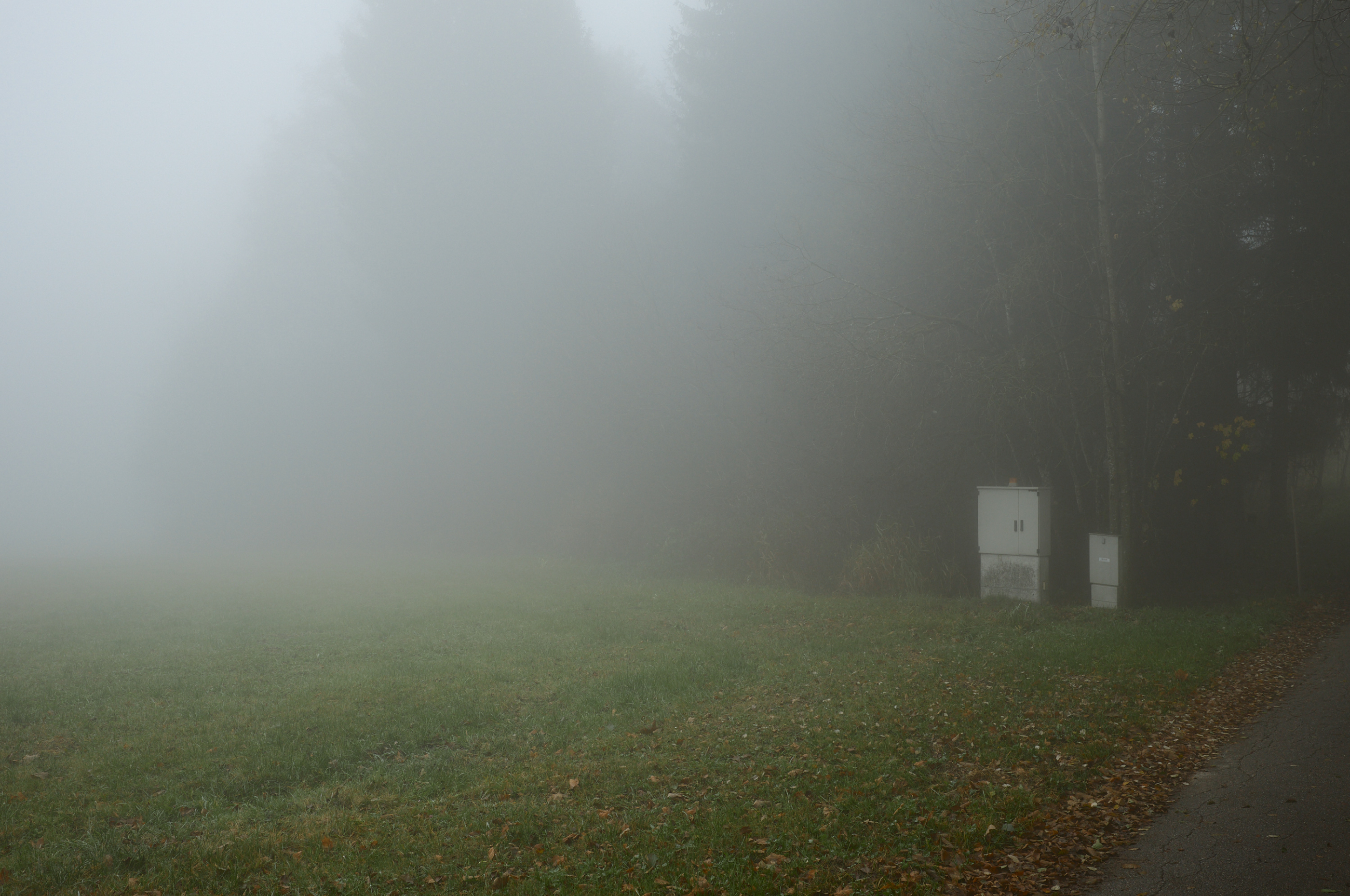 LEICA M11 P L1005677