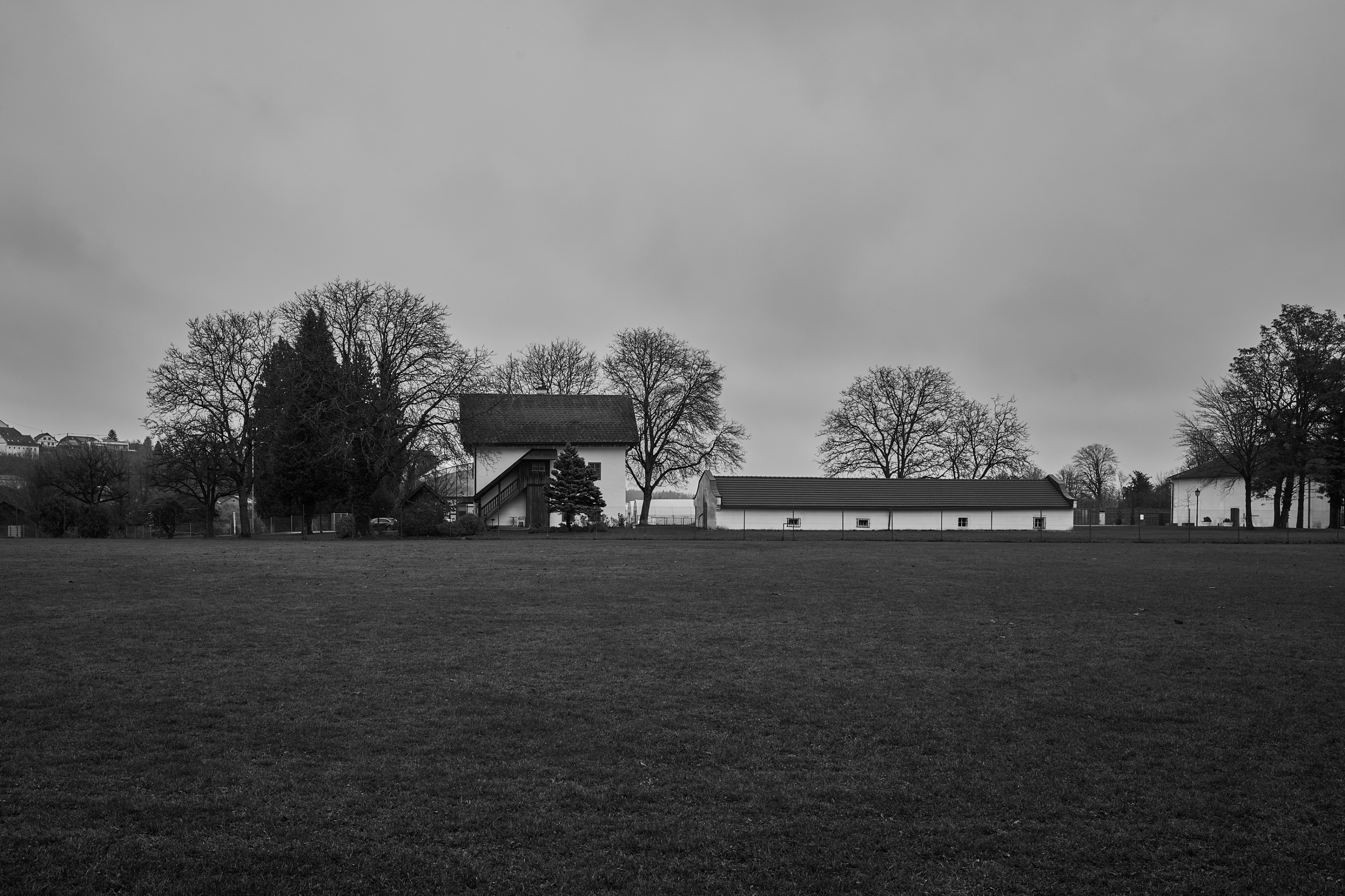 LEICA M11 Monochrom L1002674