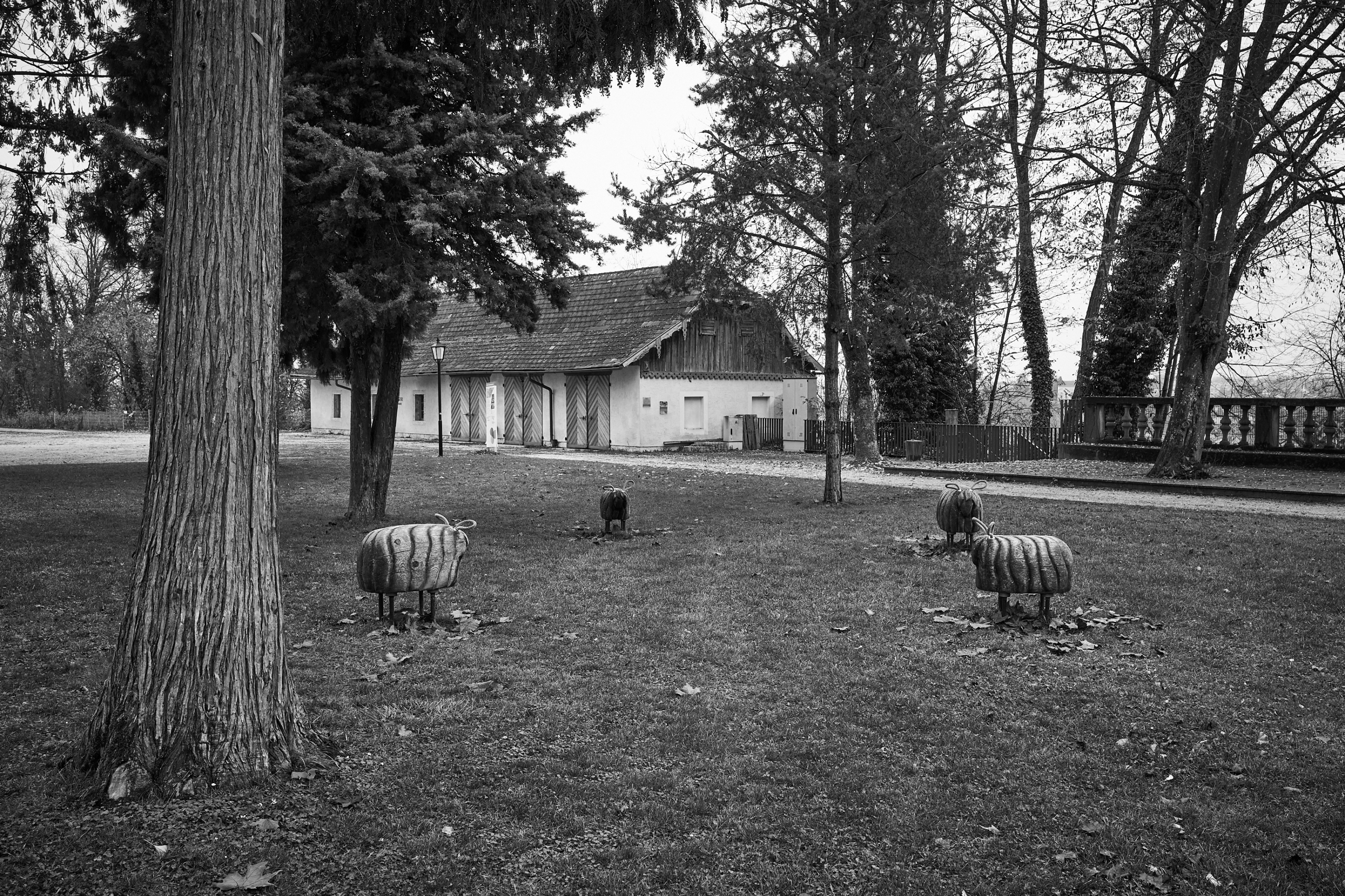 LEICA M11 Monochrom L1002680