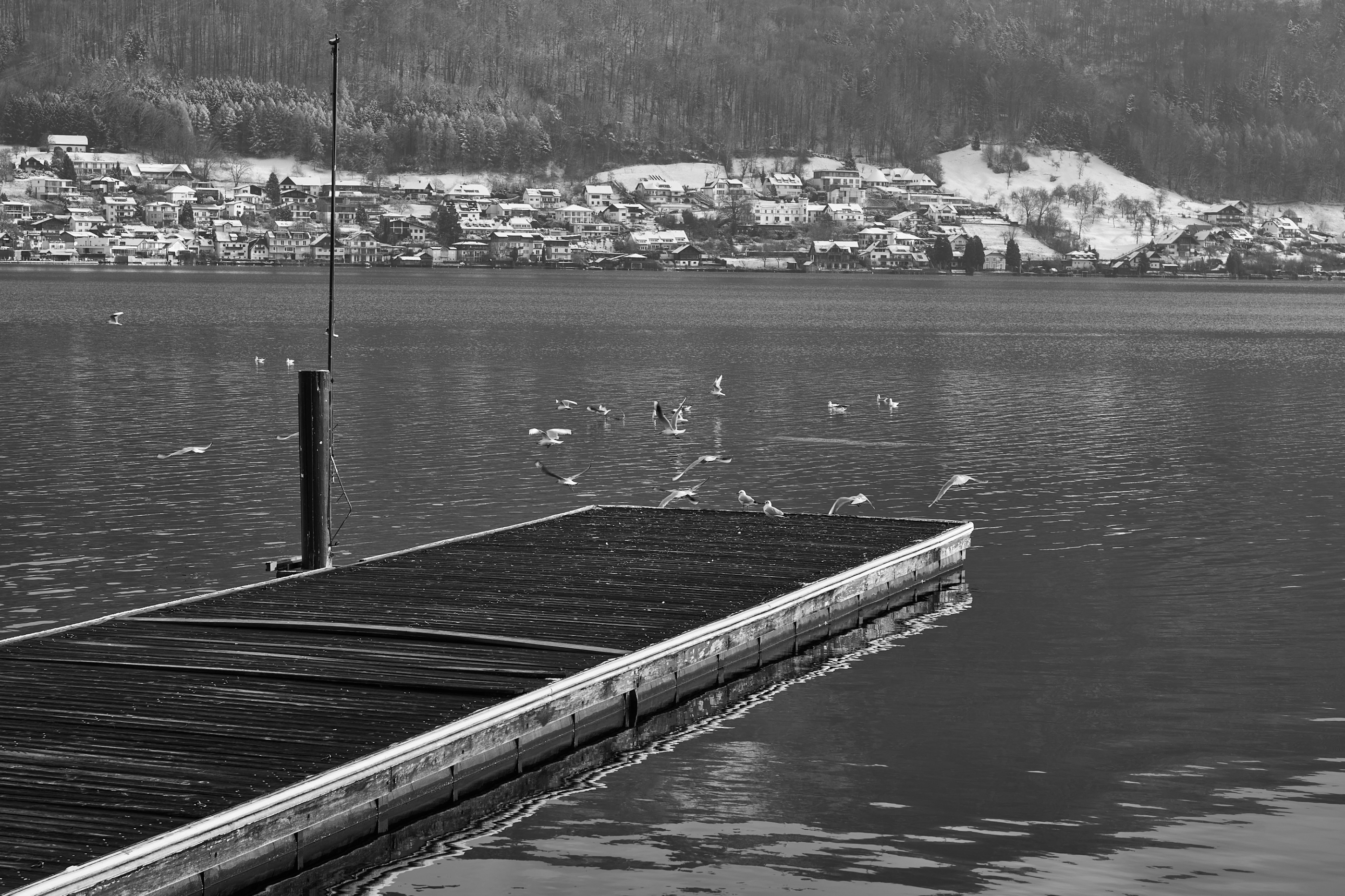 LEICA M11 Monochrom L1002711