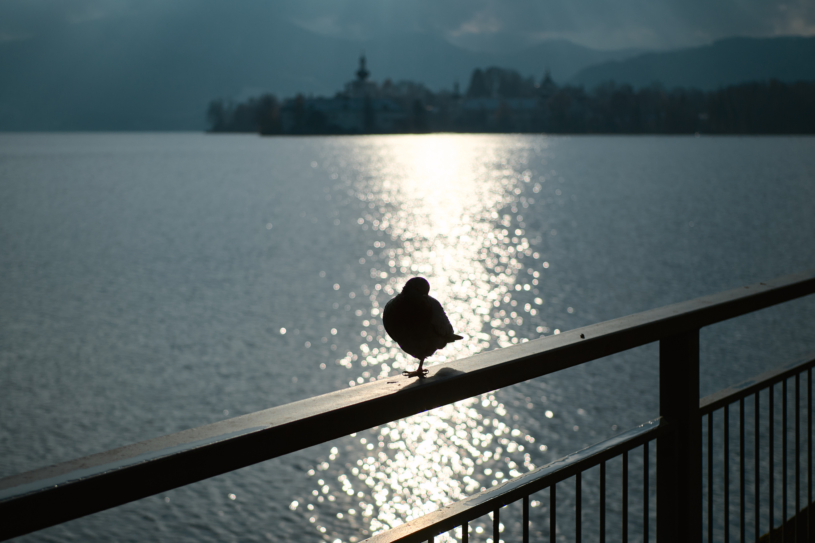 LEICA M11 P L1005741