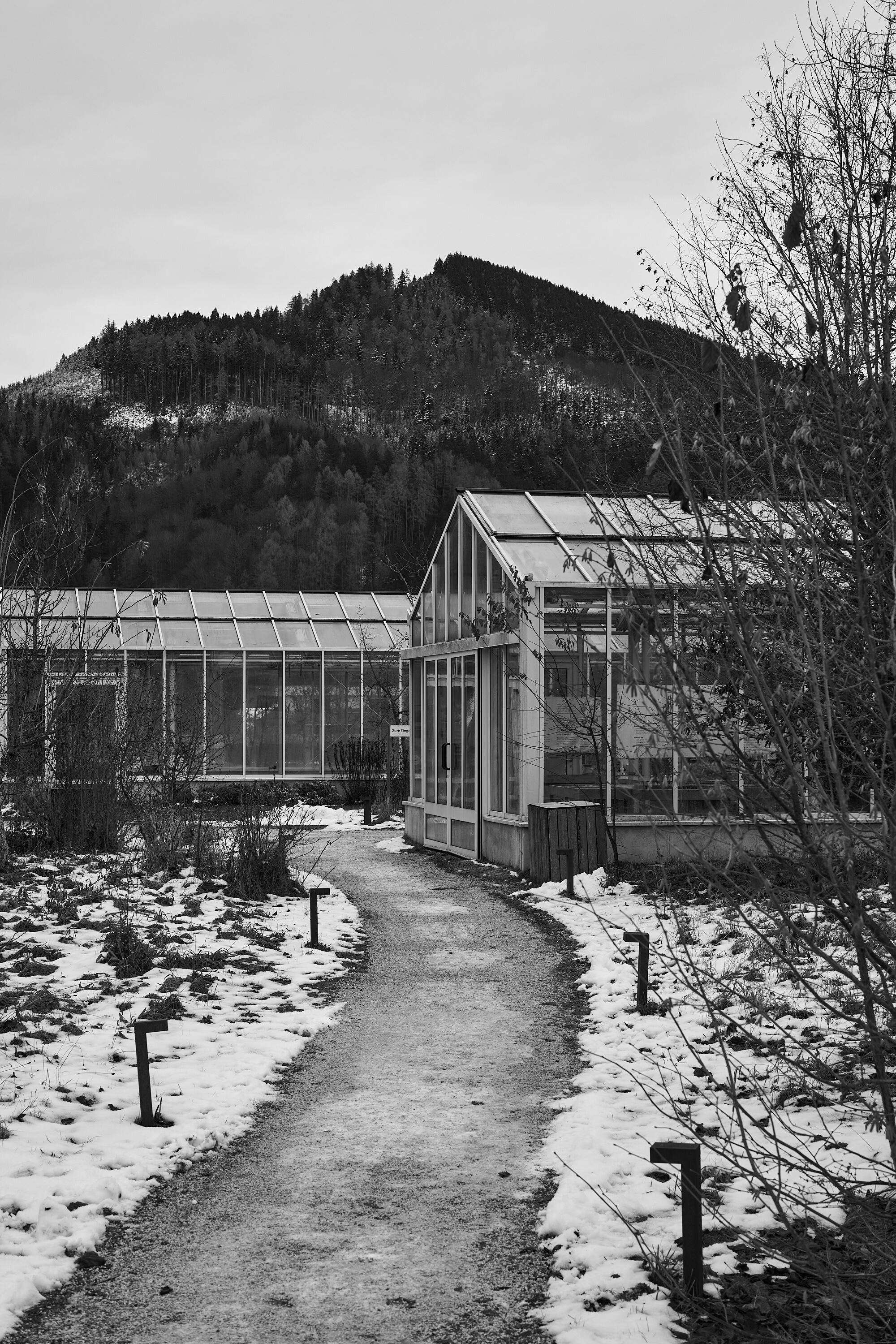 LEICA M11 Monochrom L1002789