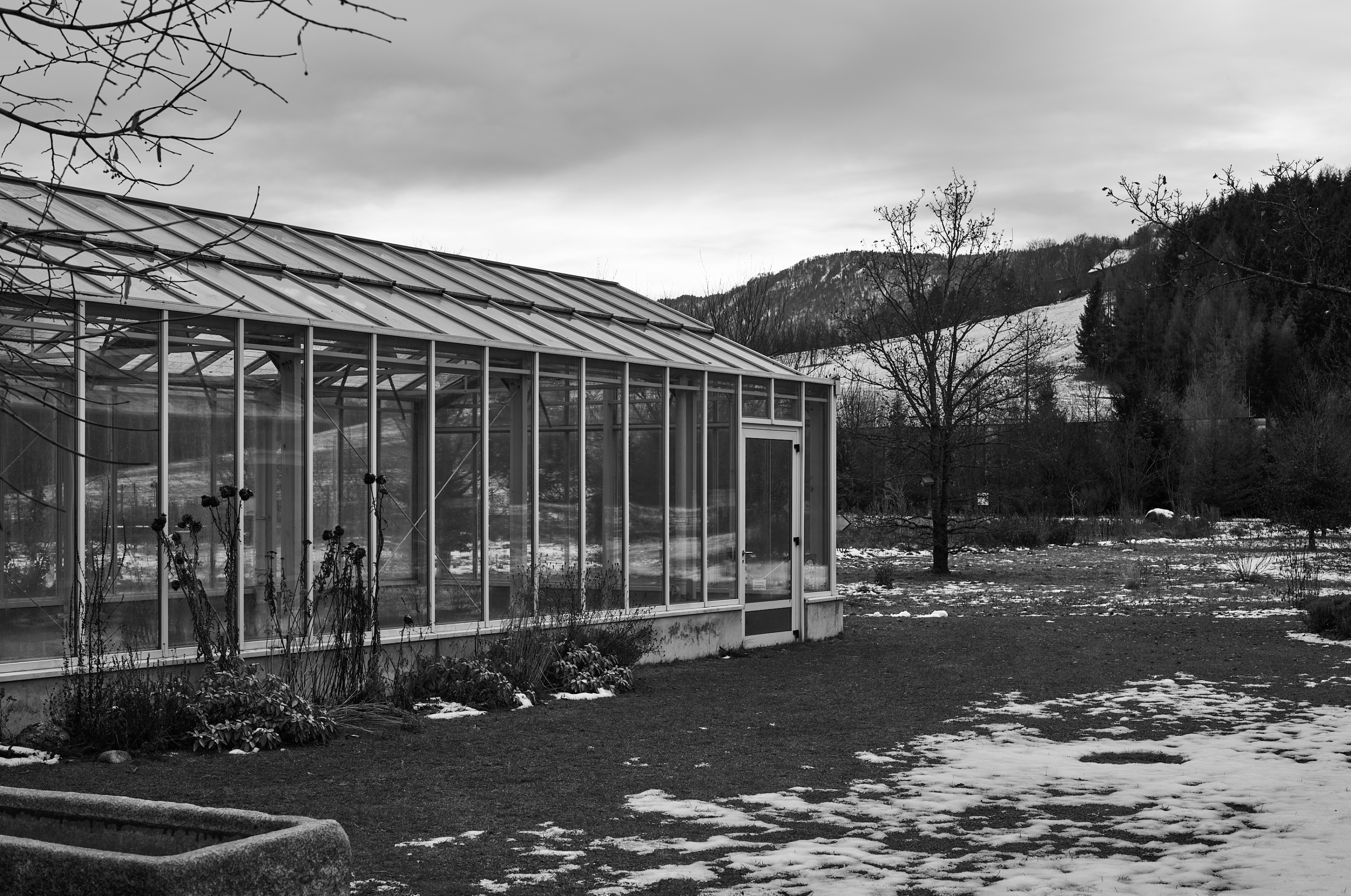 LEICA M11 Monochrom L1002792