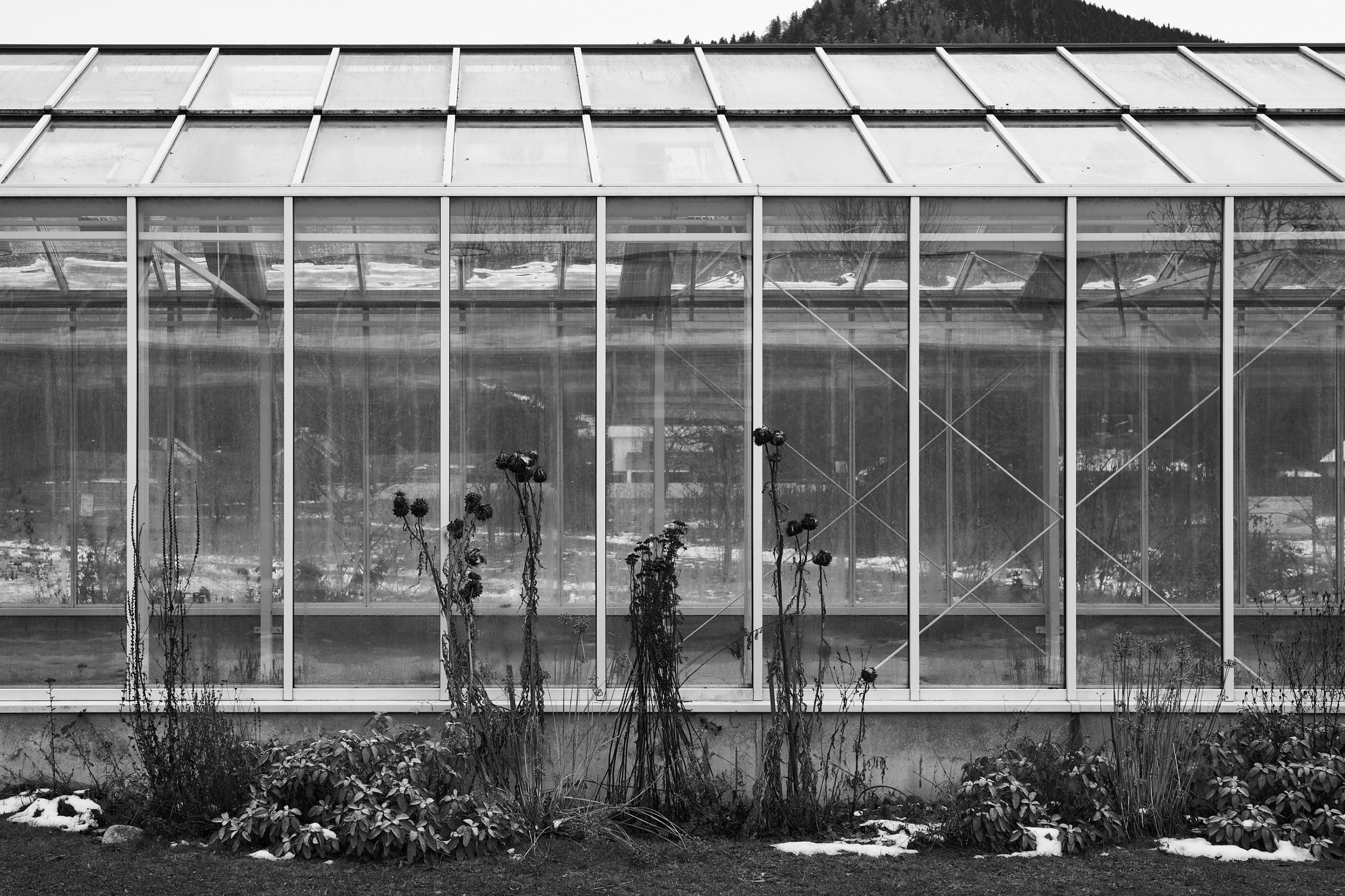 LEICA M11 Monochrom L1002793