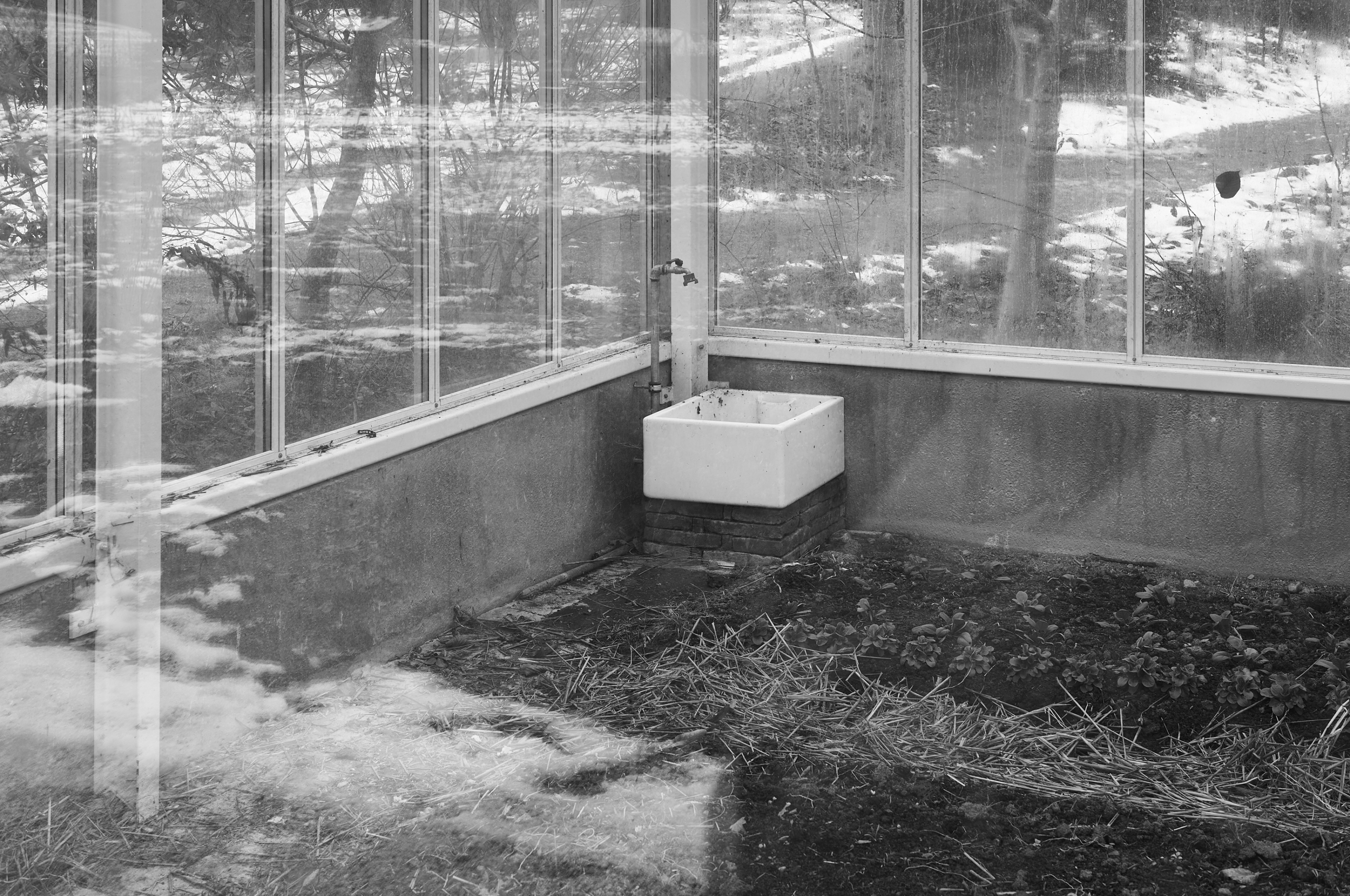 LEICA M11 Monochrom L1002794