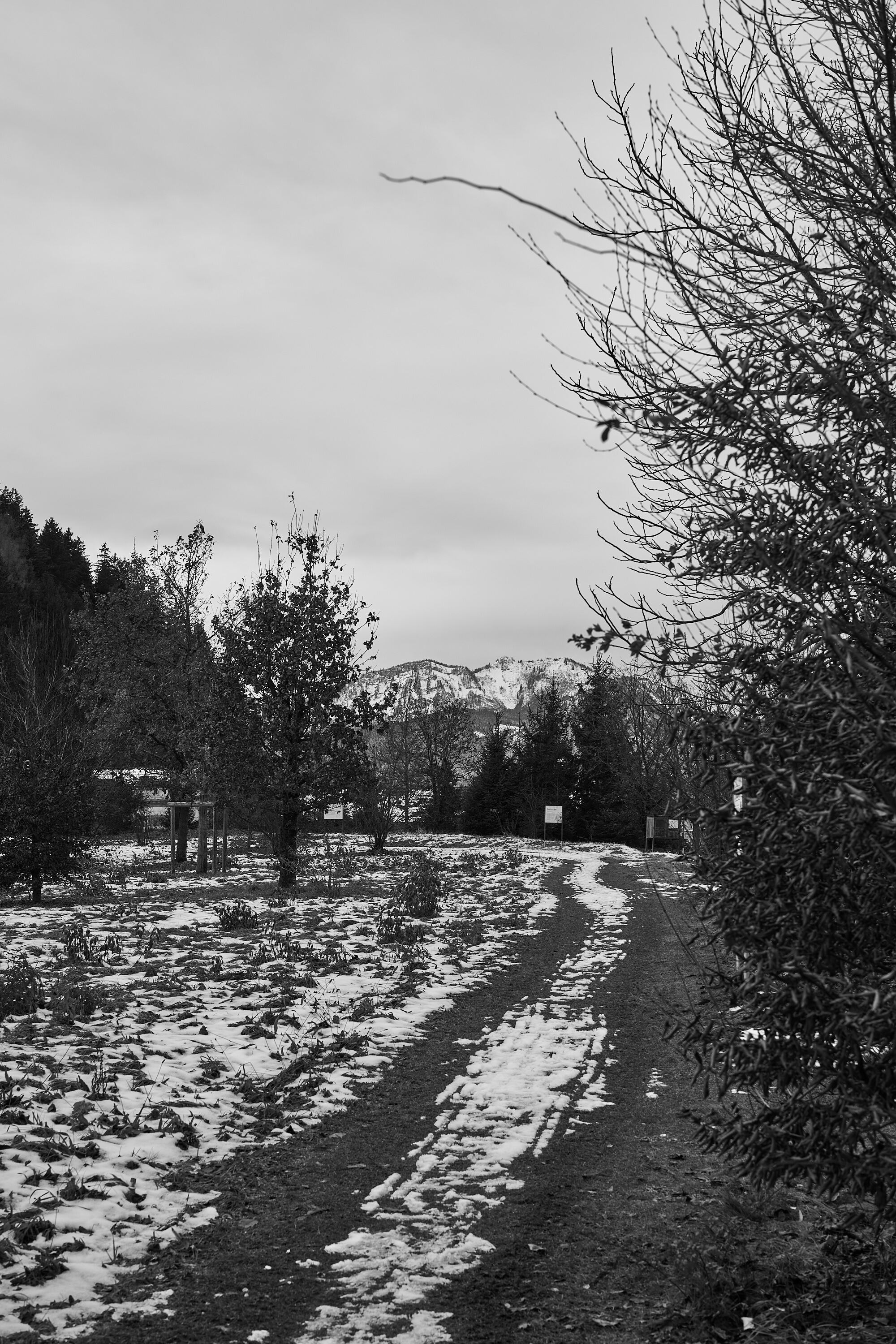 LEICA M11 Monochrom L1002795