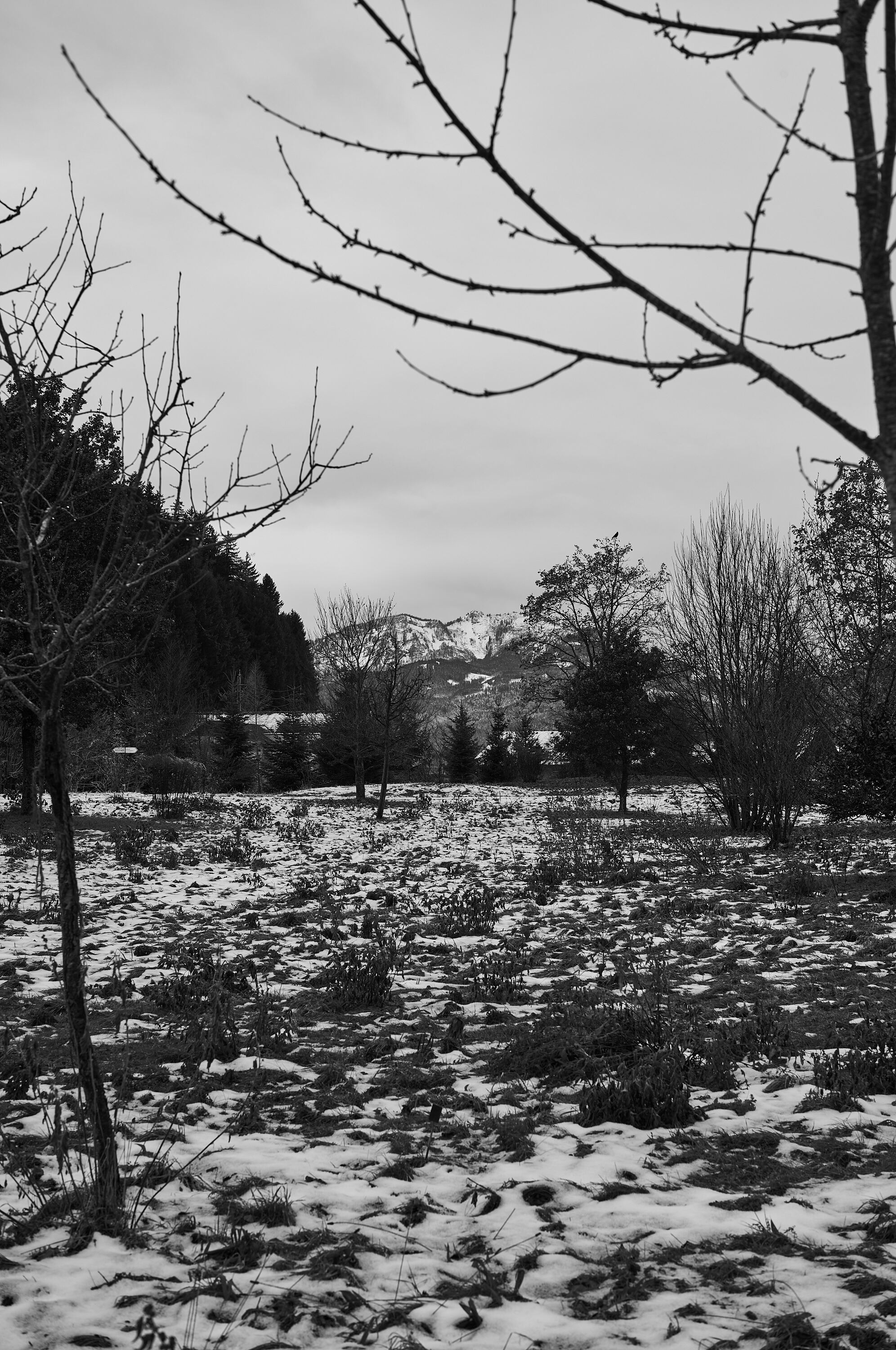 LEICA M11 Monochrom L1002798