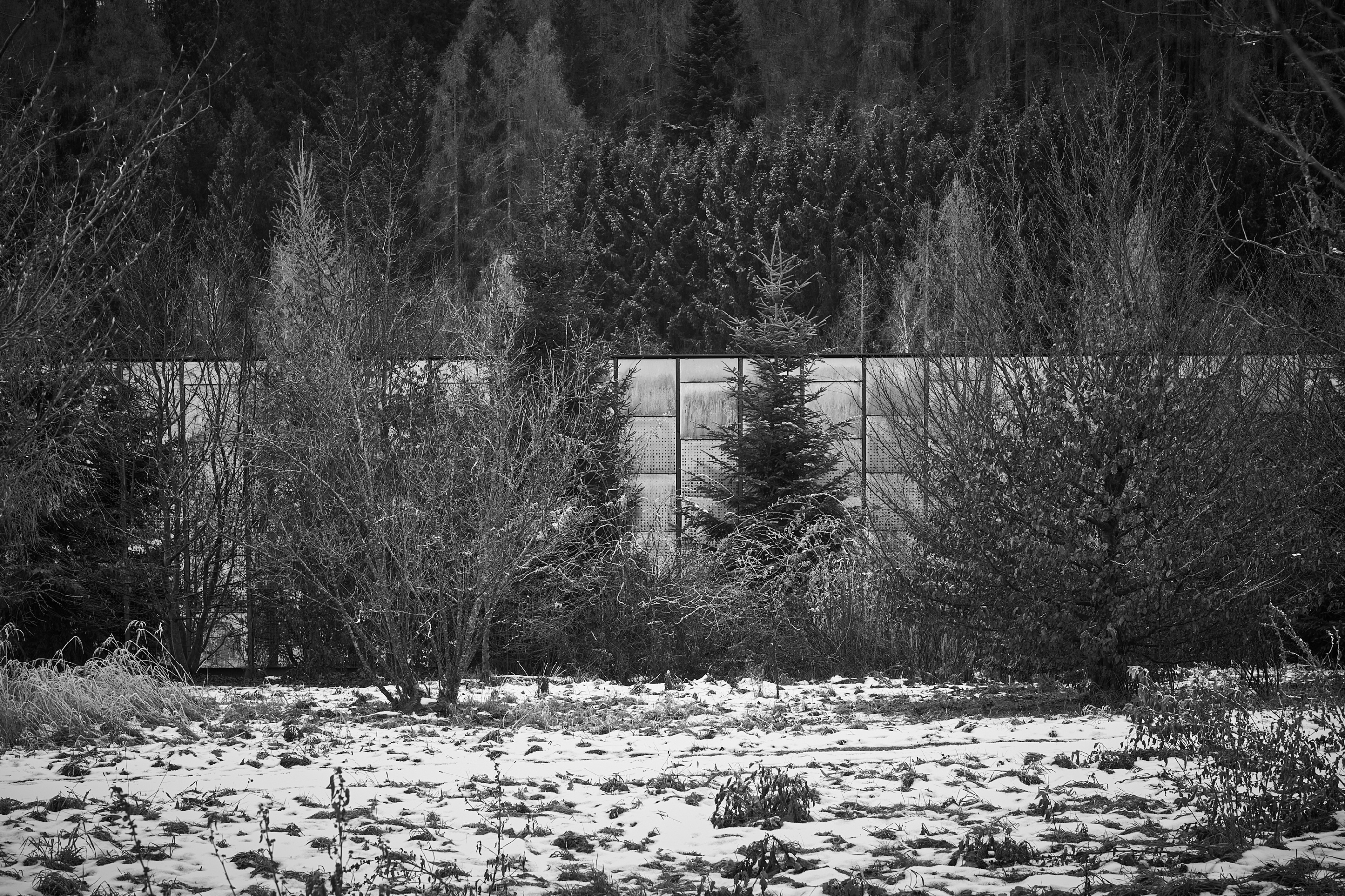 LEICA M11 Monochrom L1002799