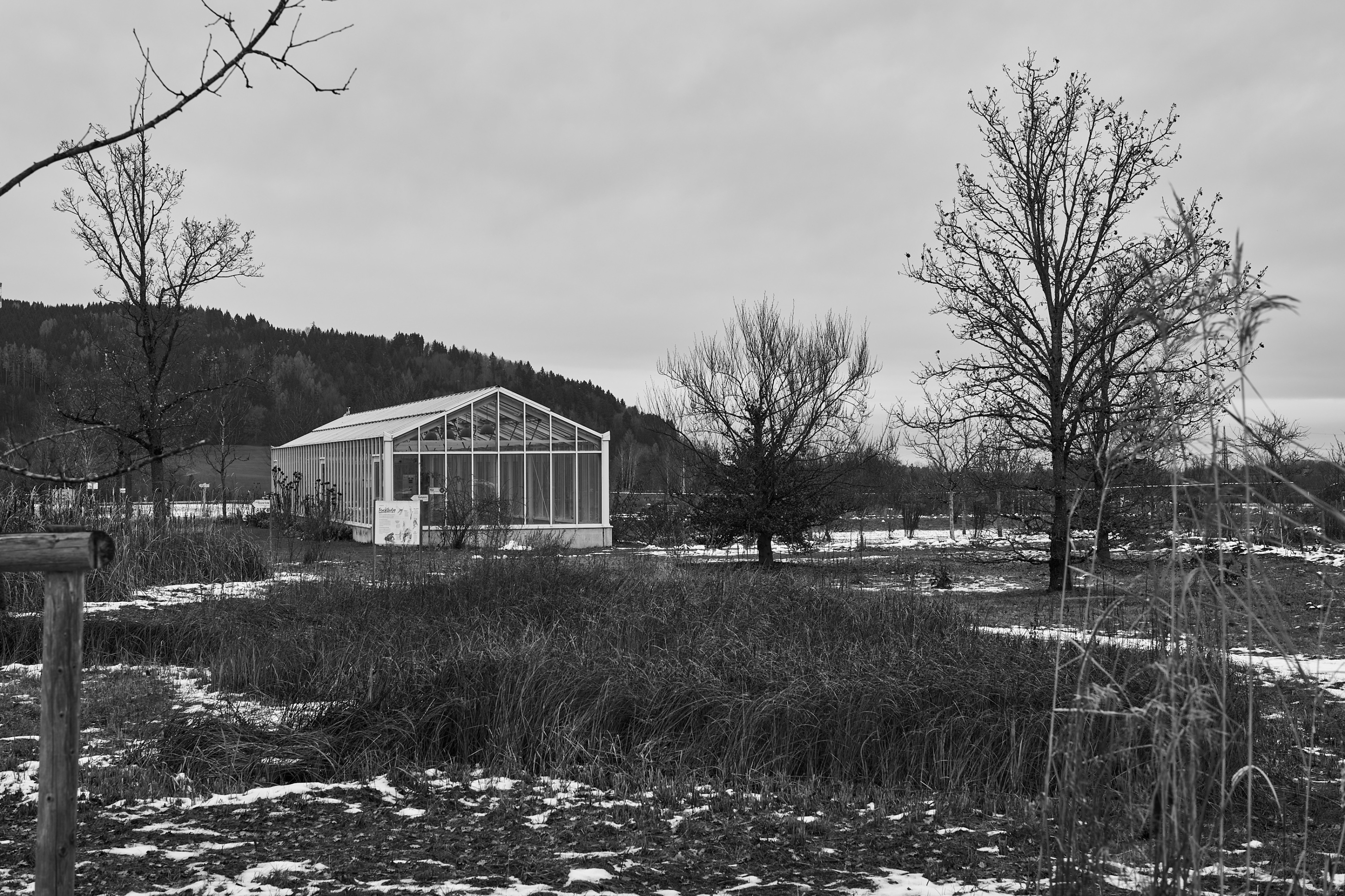 LEICA M11 Monochrom L1002800