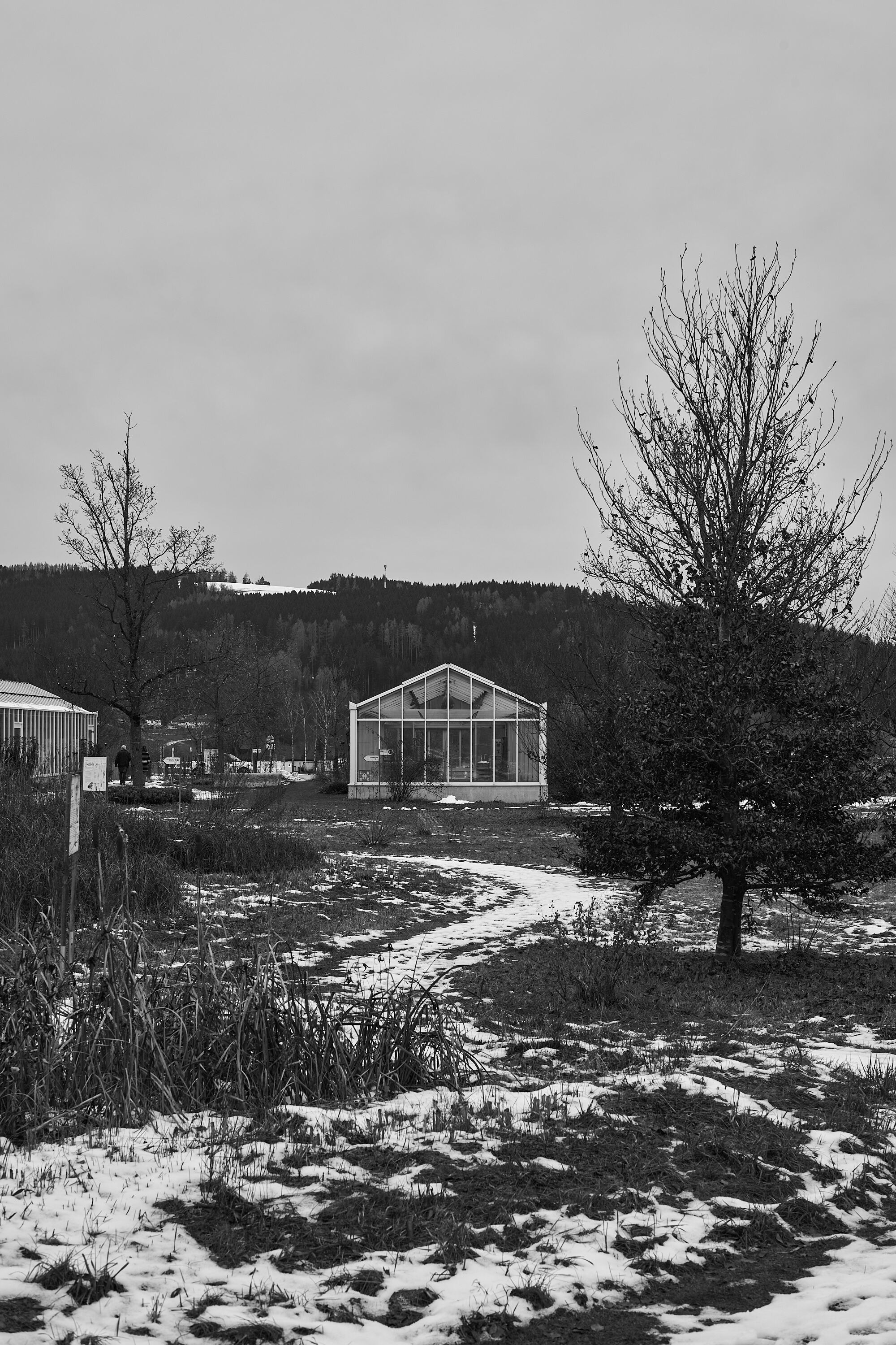 LEICA M11 Monochrom L1002801