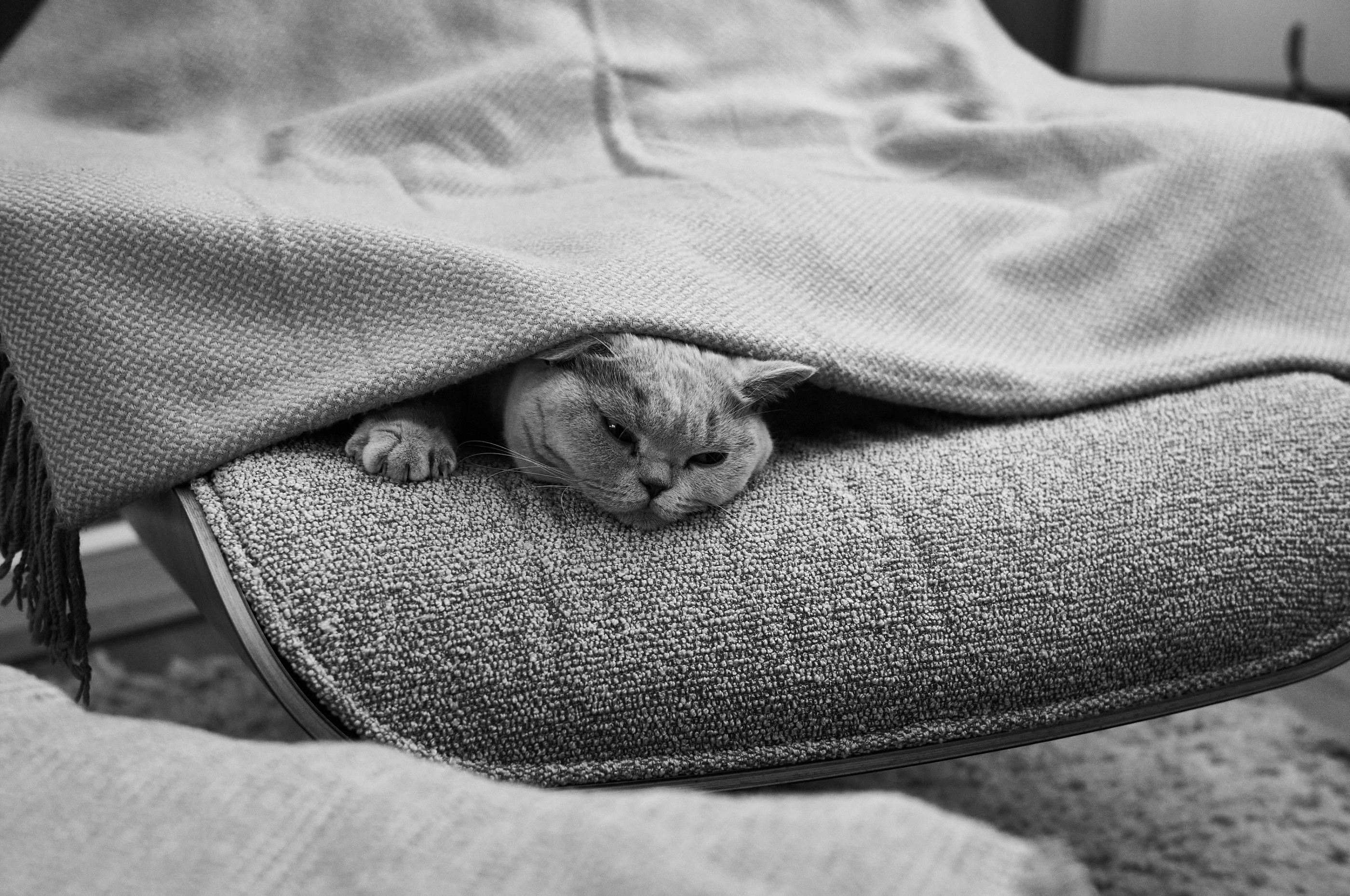 LEICA M11 Monochrom L1002804