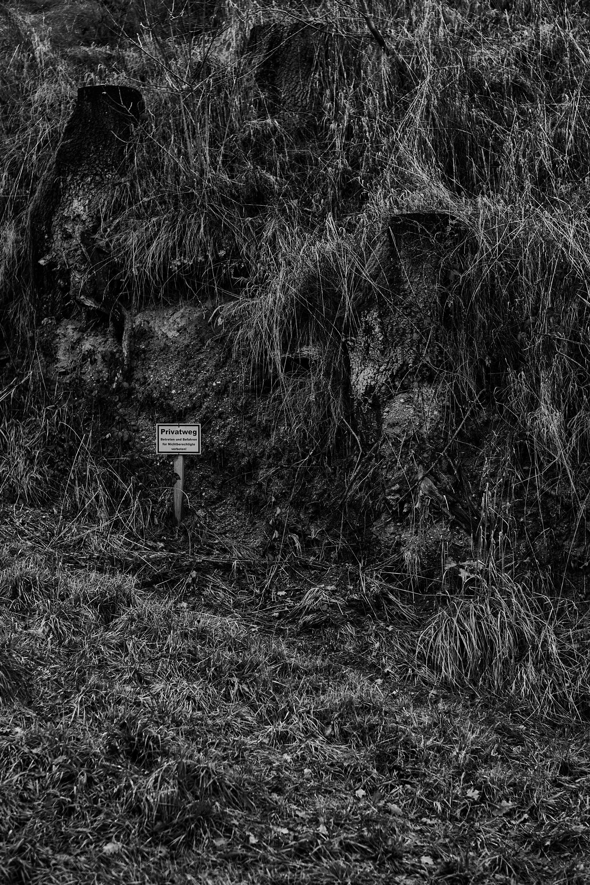 LEICA M11 Monochrom L1002810