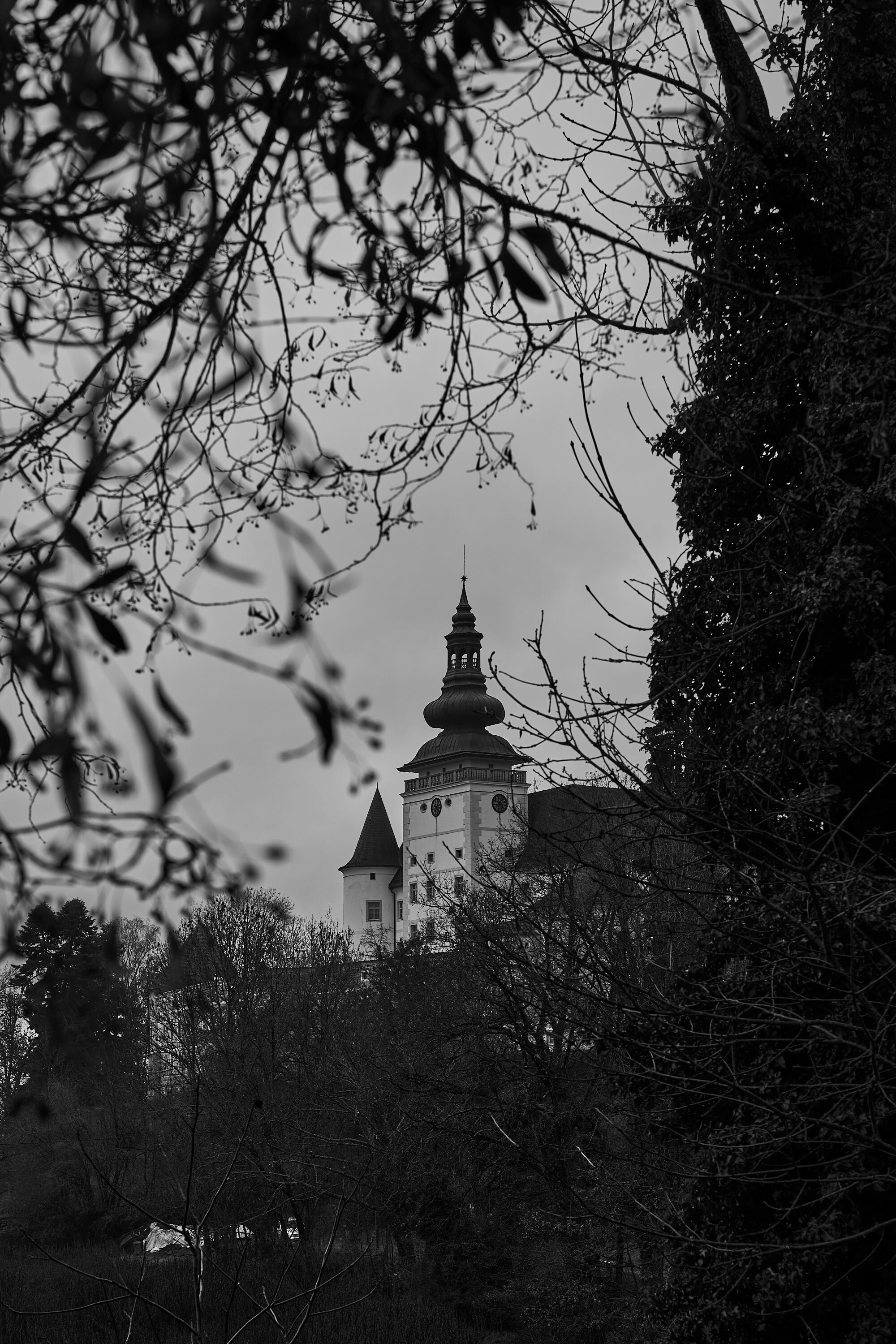 LEICA M11 Monochrom L1002814