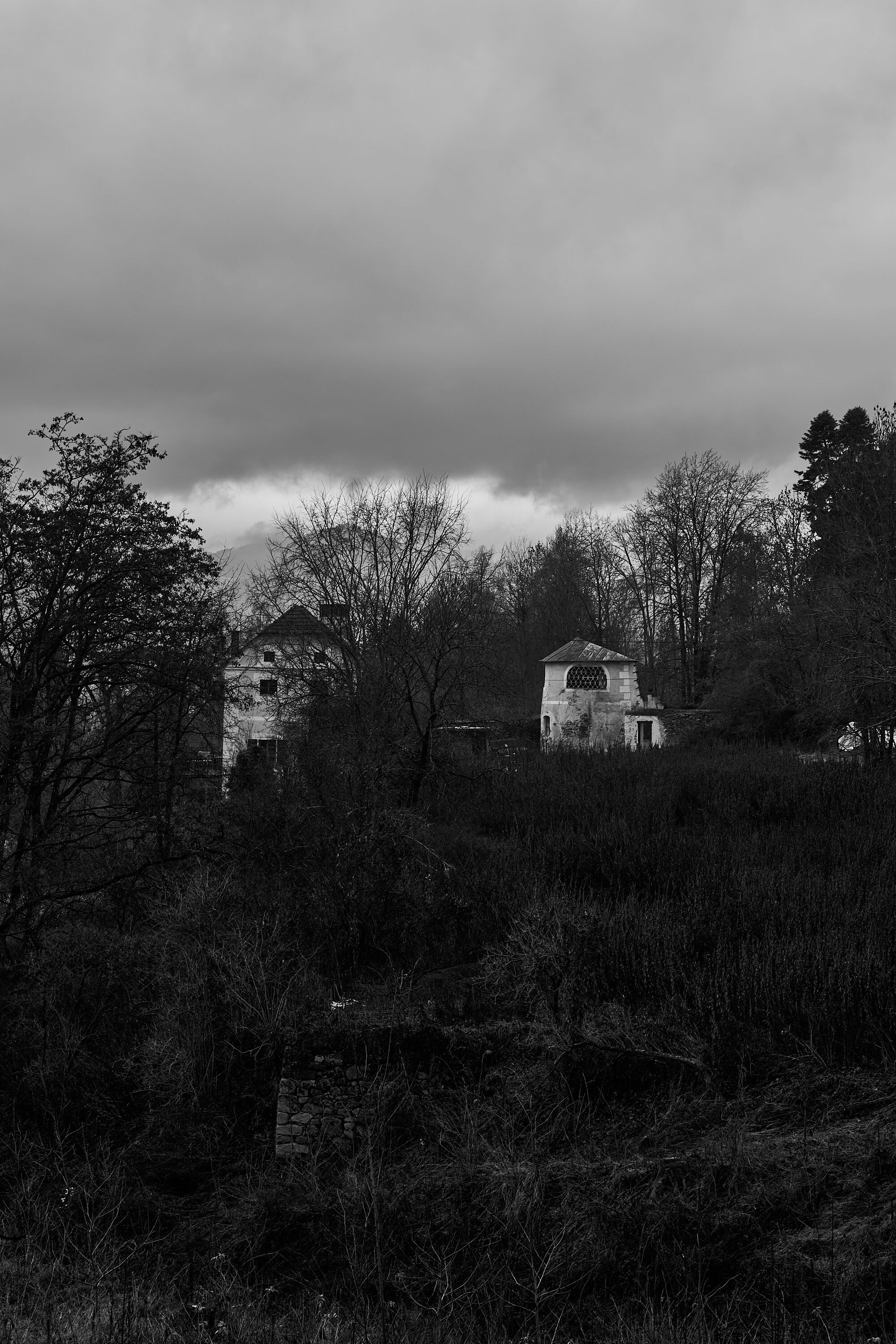 LEICA M11 Monochrom L1002815