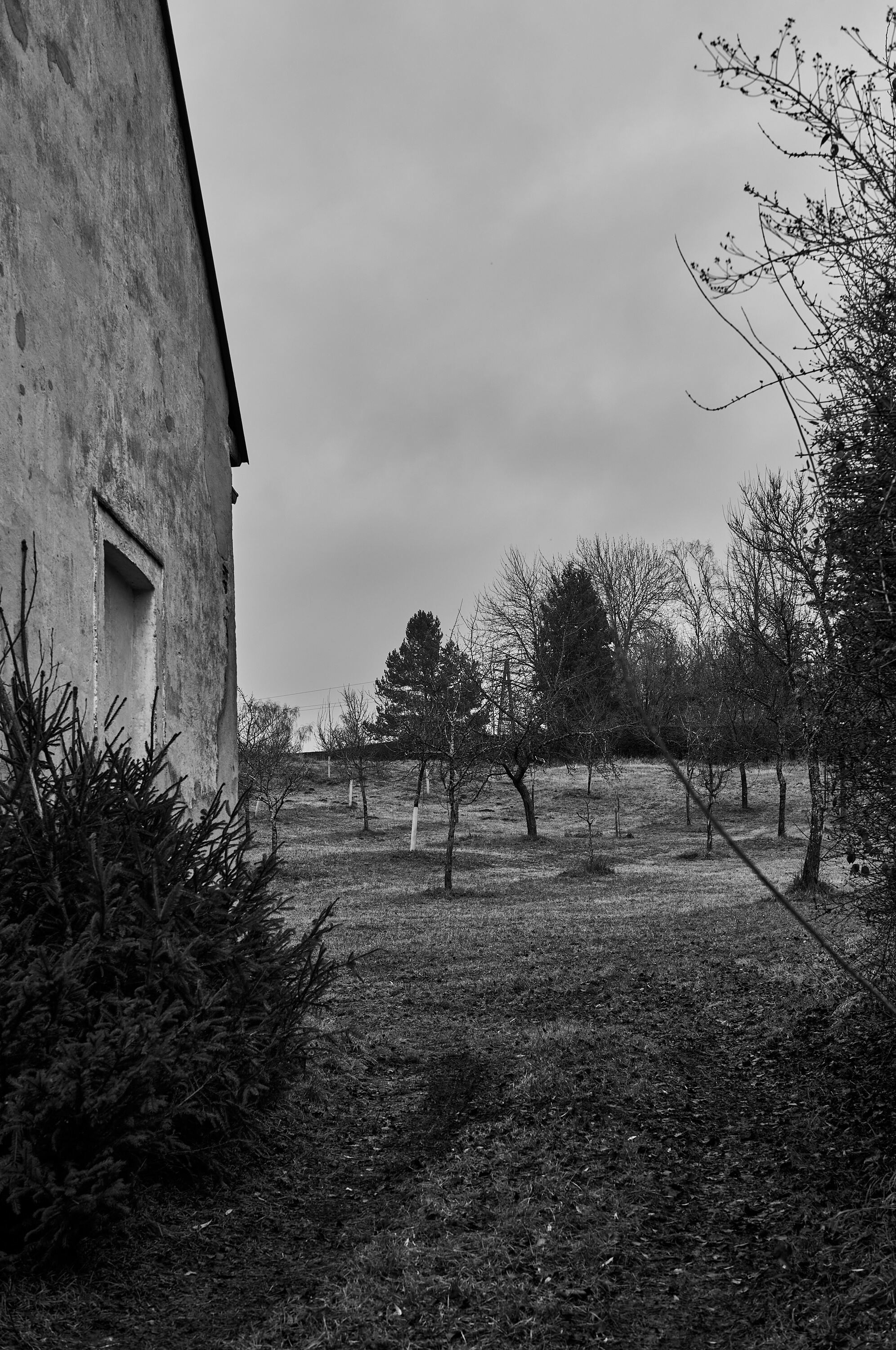 LEICA M11 Monochrom L1002816