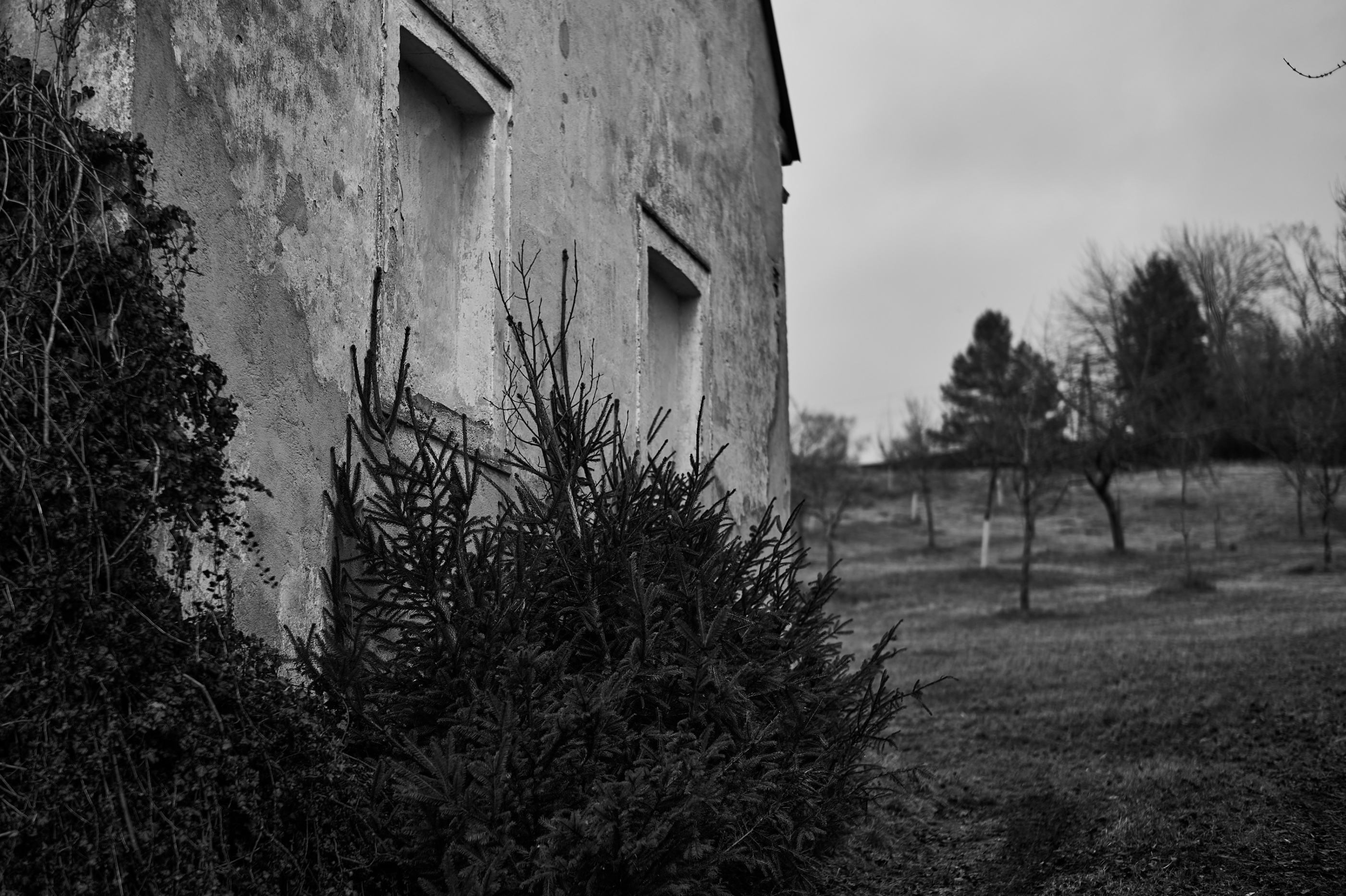 LEICA M11 Monochrom L1002817