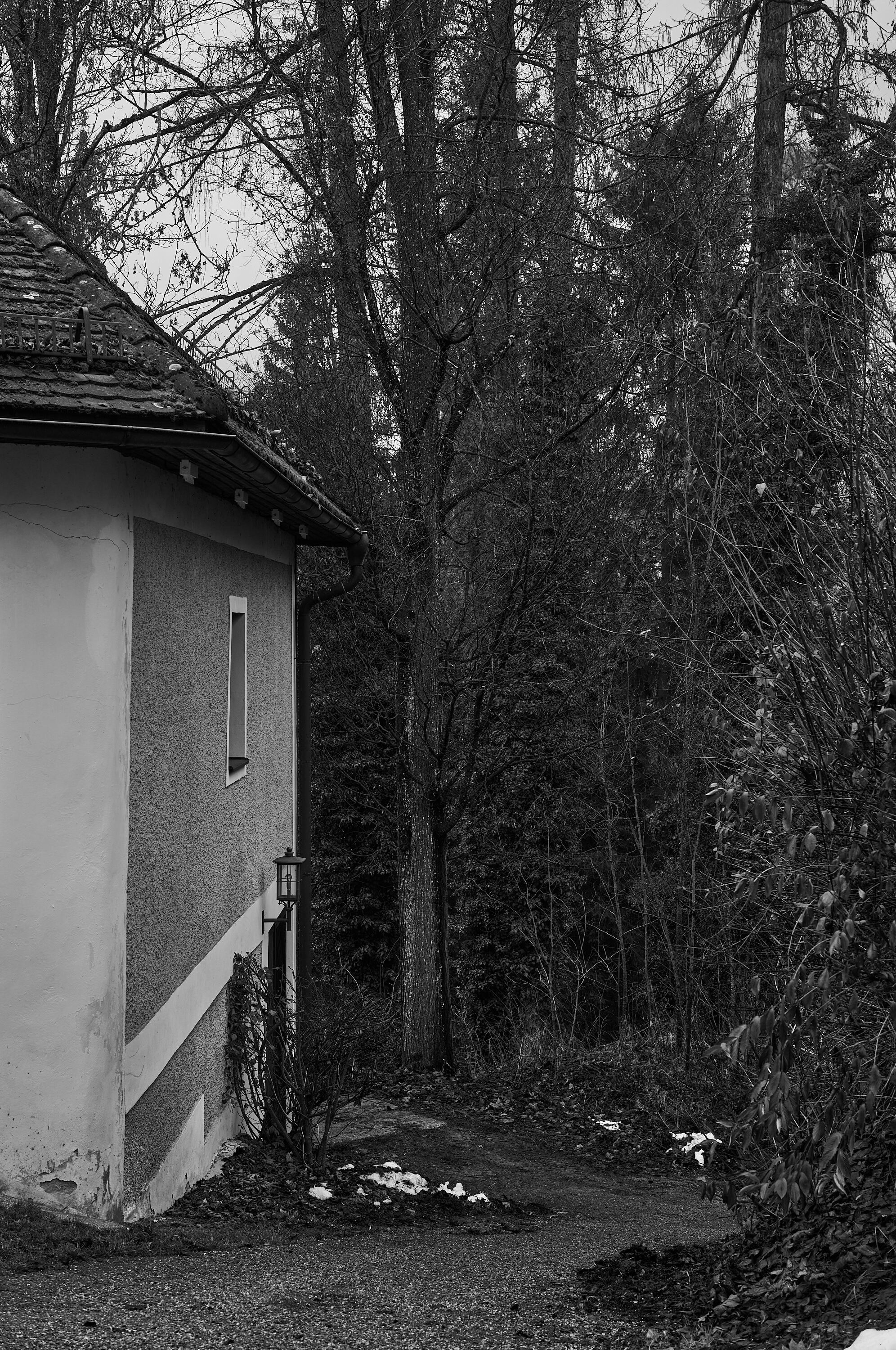 LEICA M11 Monochrom L1002825