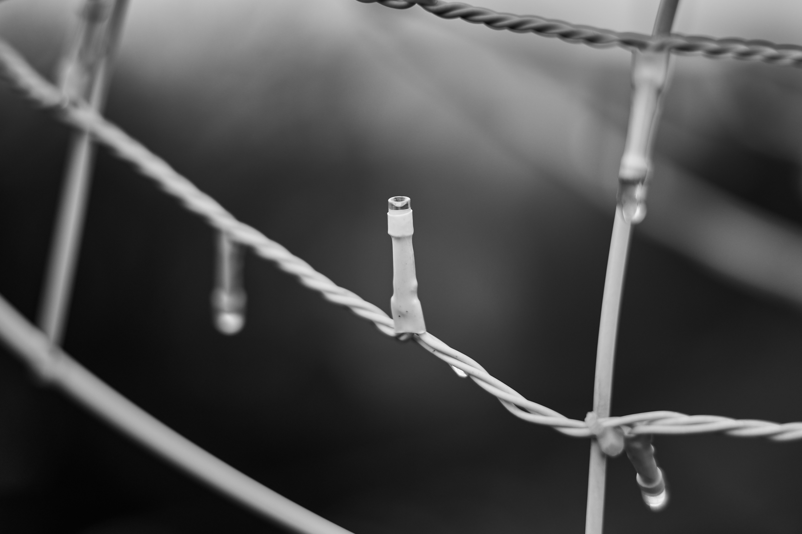 LEICA M11 Monochrom L1002834