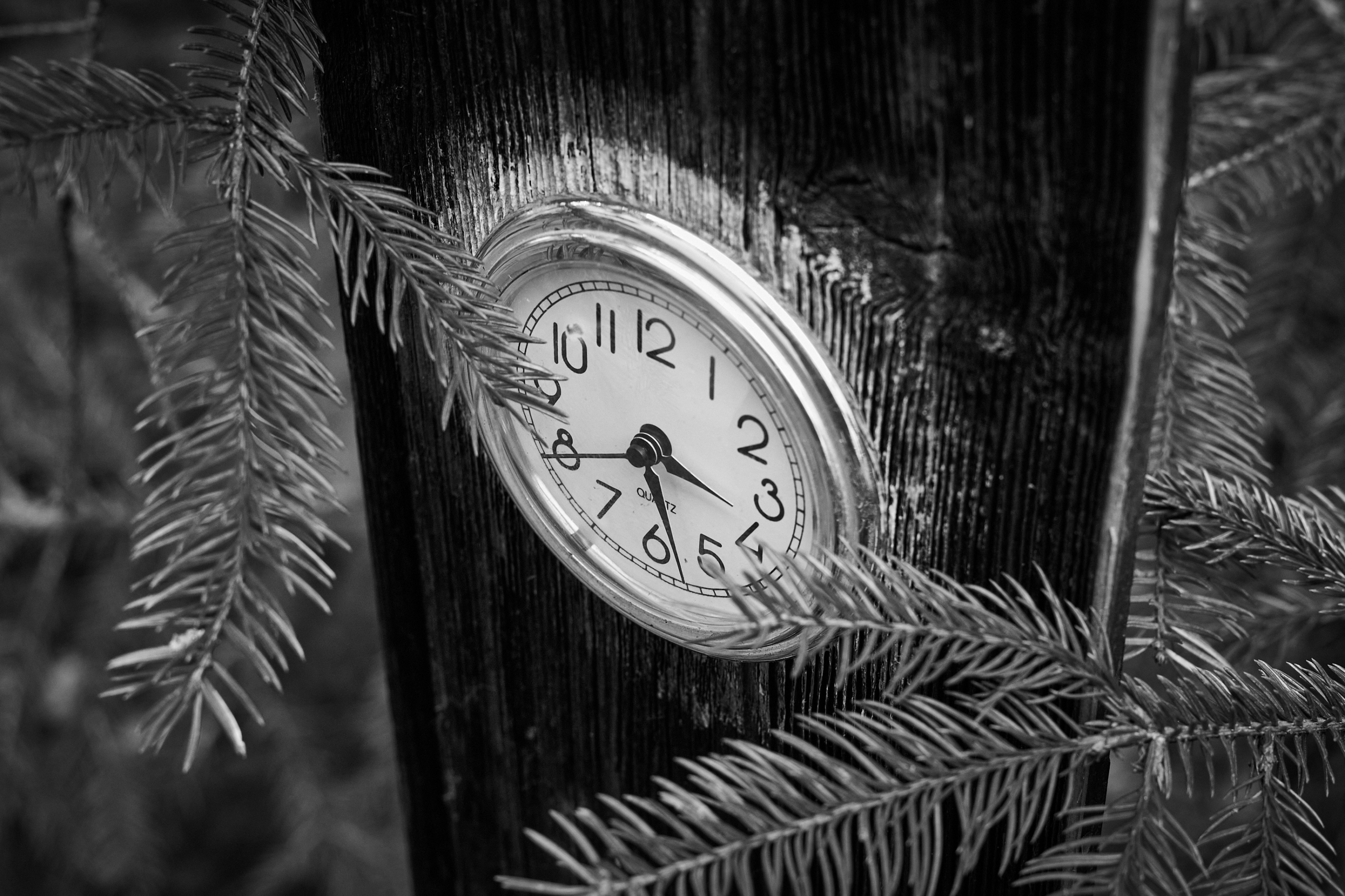 LEICA M11 Monochrom L1002846