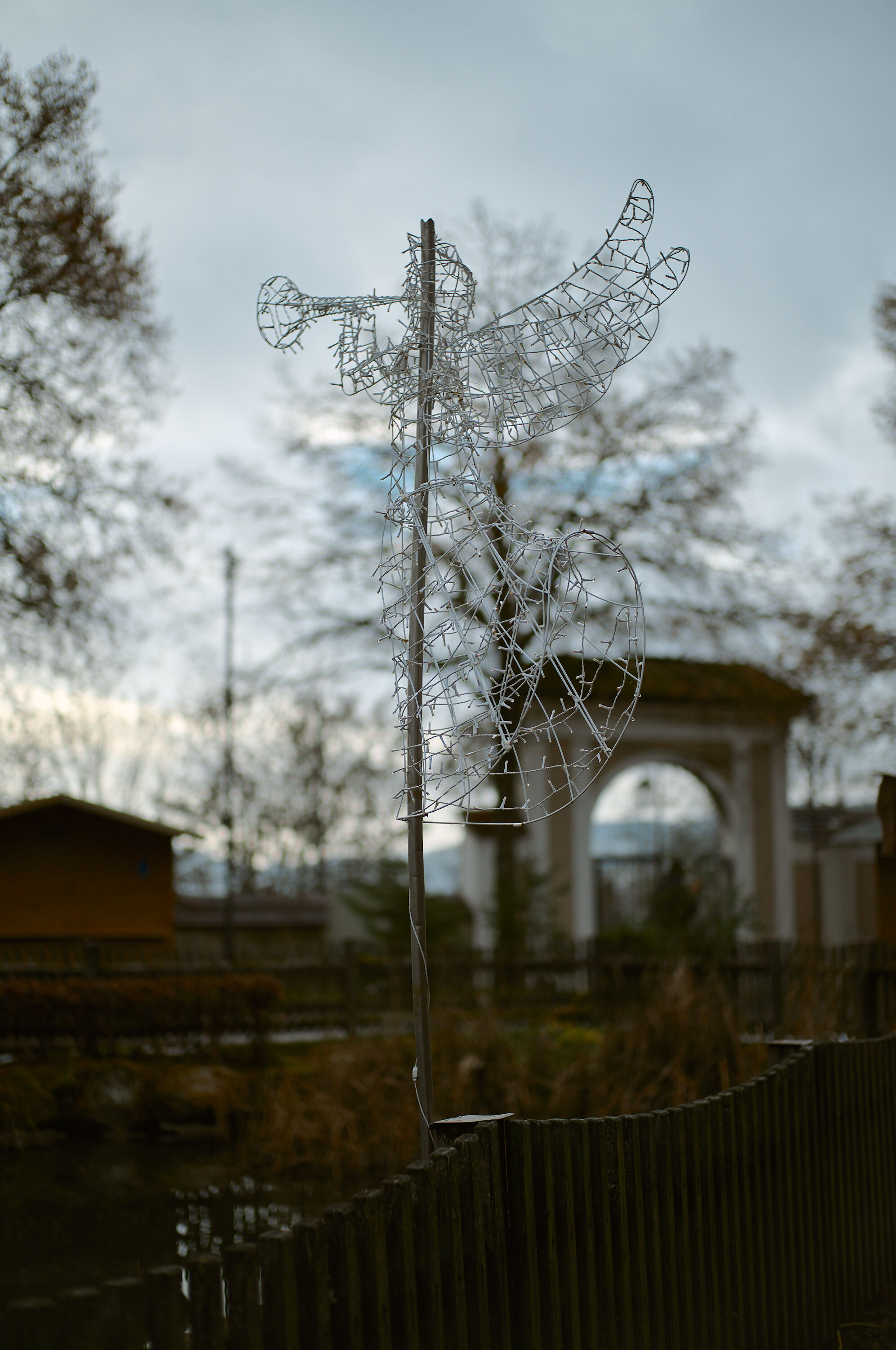 LEICA M11 P L1005874