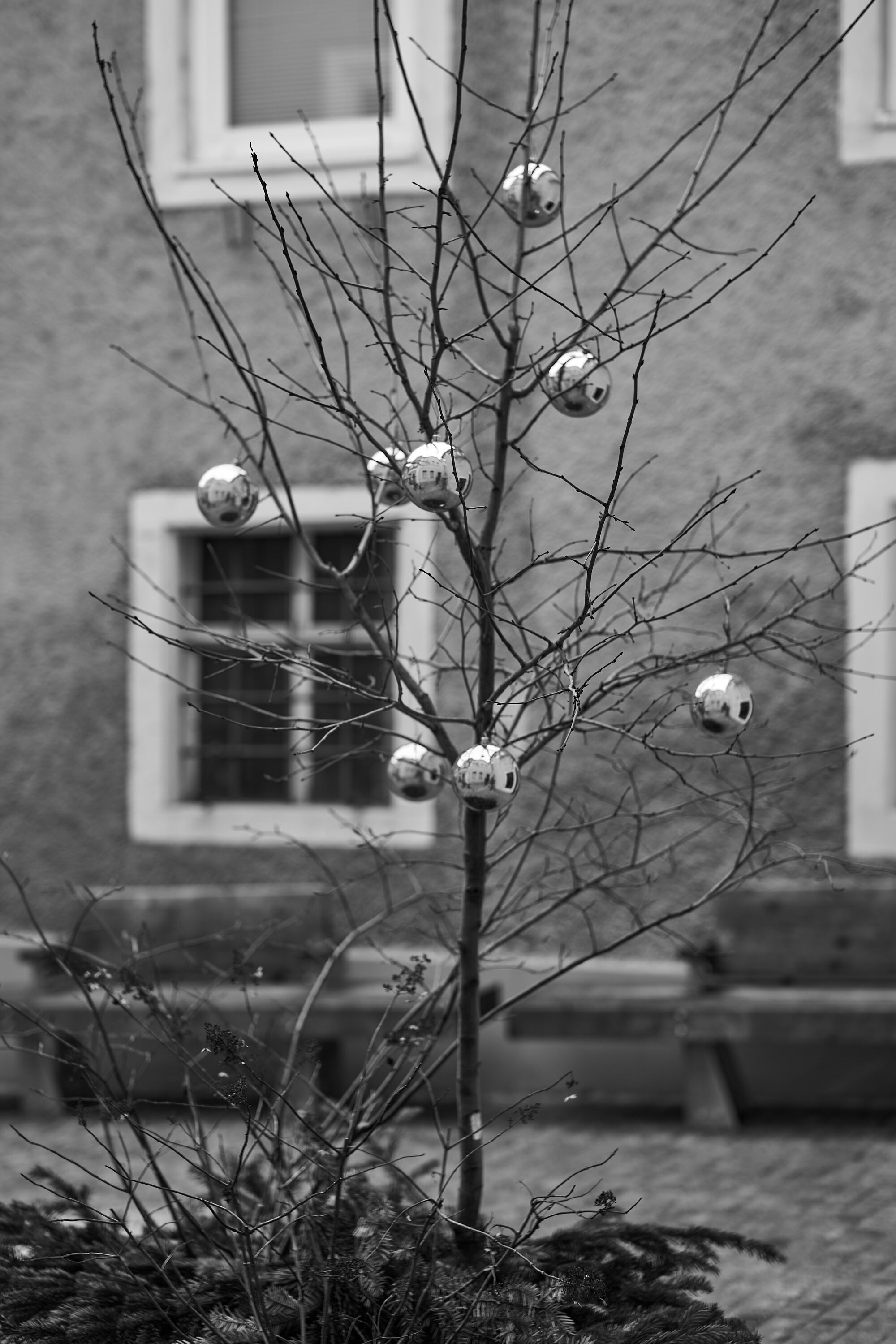 LEICA M11 Monochrom L1002892