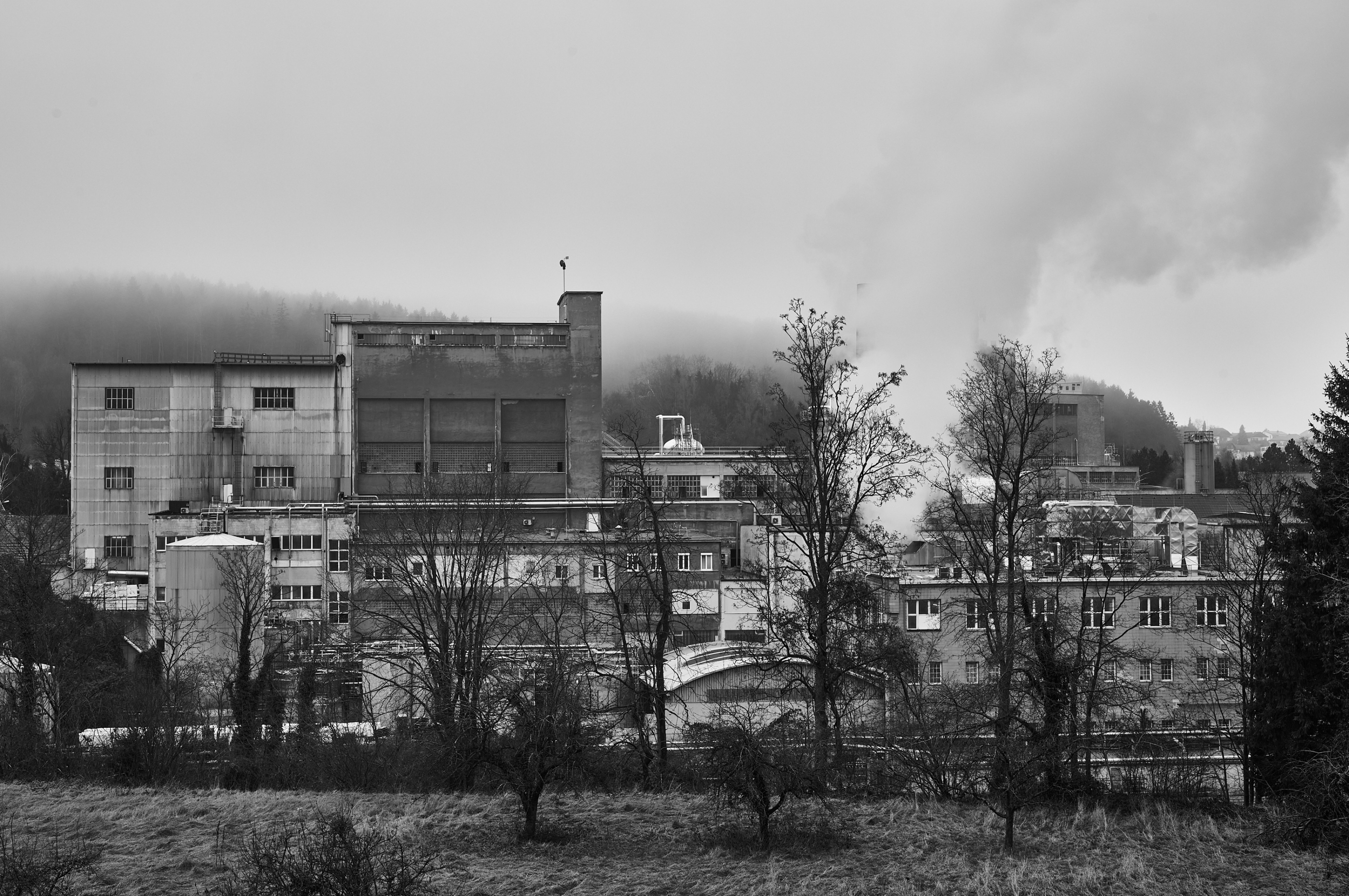 LEICA M11 Monochrom L1002935