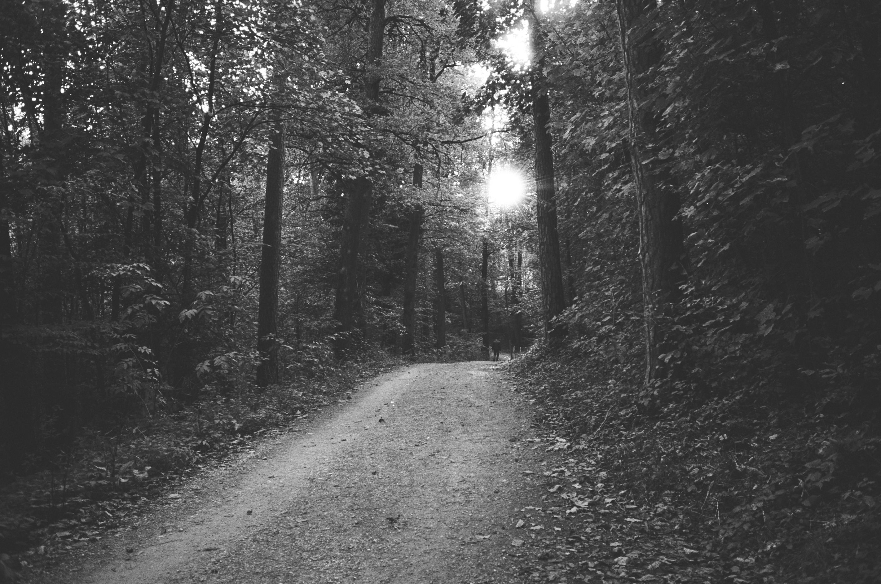 LEICA MP Leica MP 513486030007