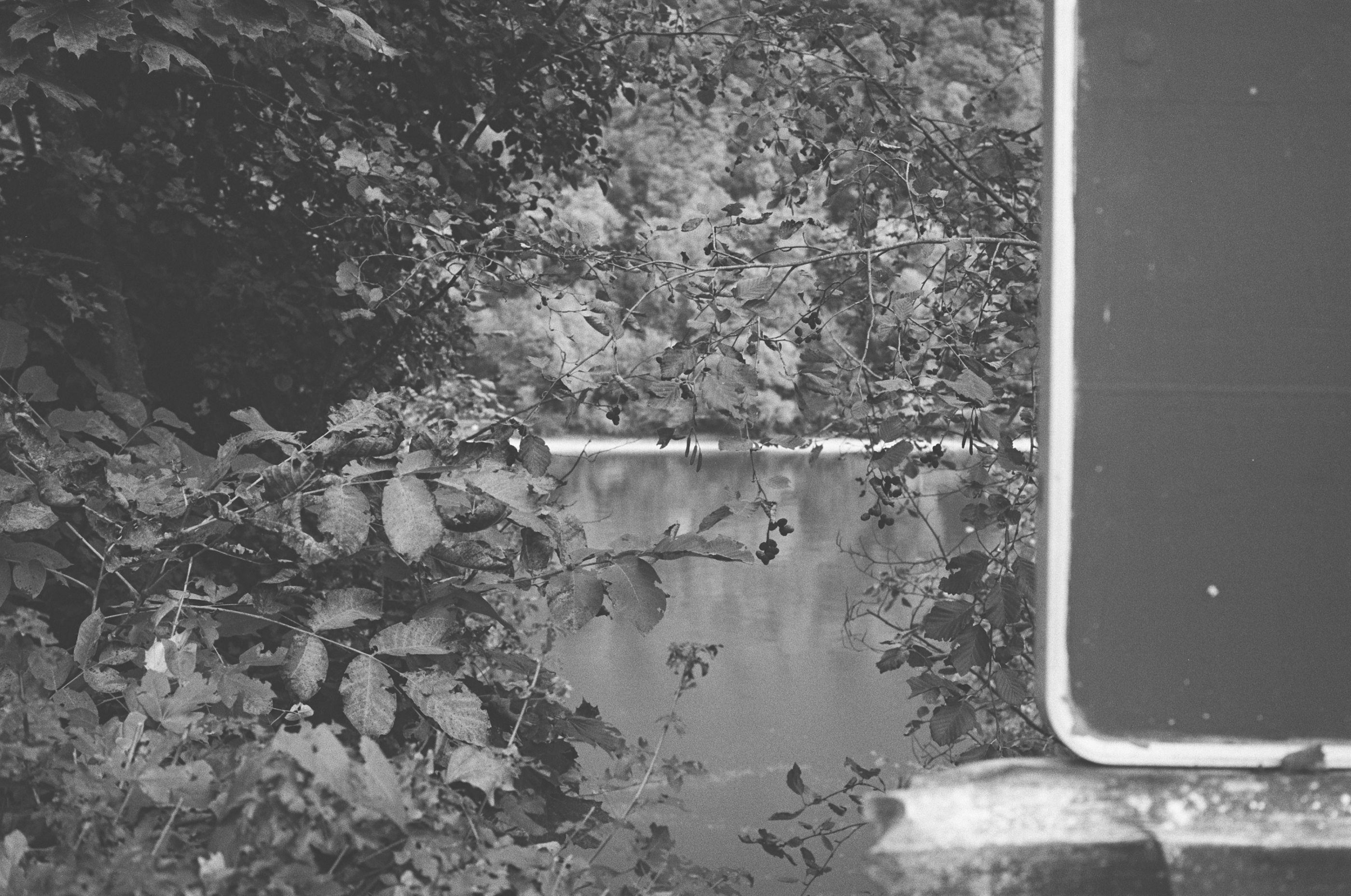 LEICA MP Leica MP 513486030009