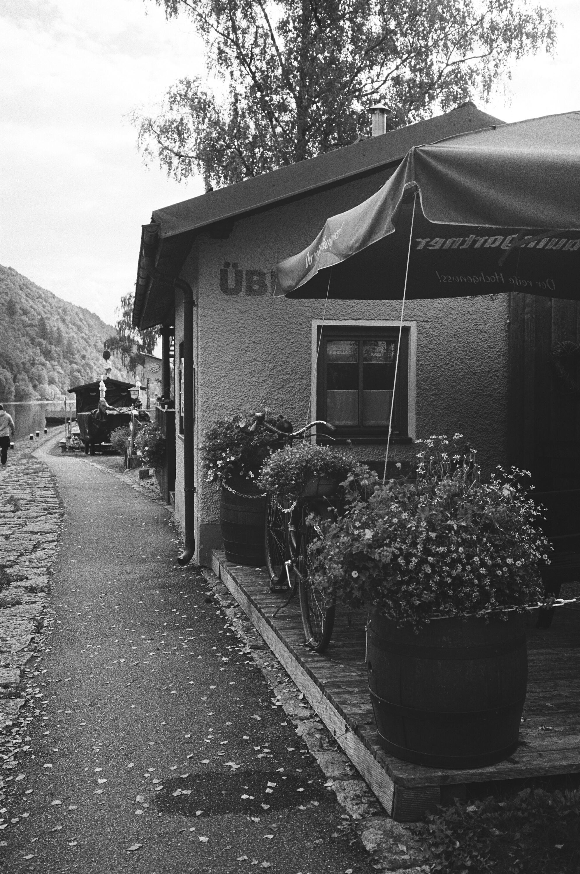 LEICA MP Leica MP 513486030012