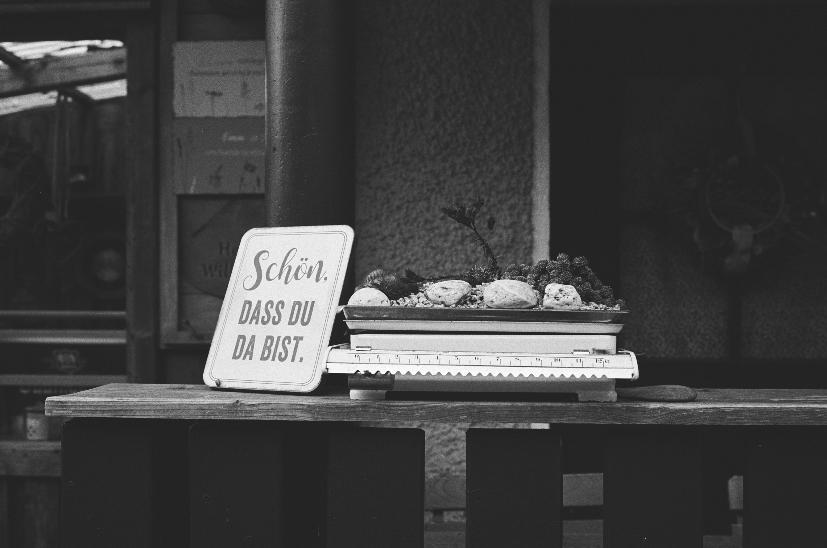 LEICA MP Leica MP 513486030013
