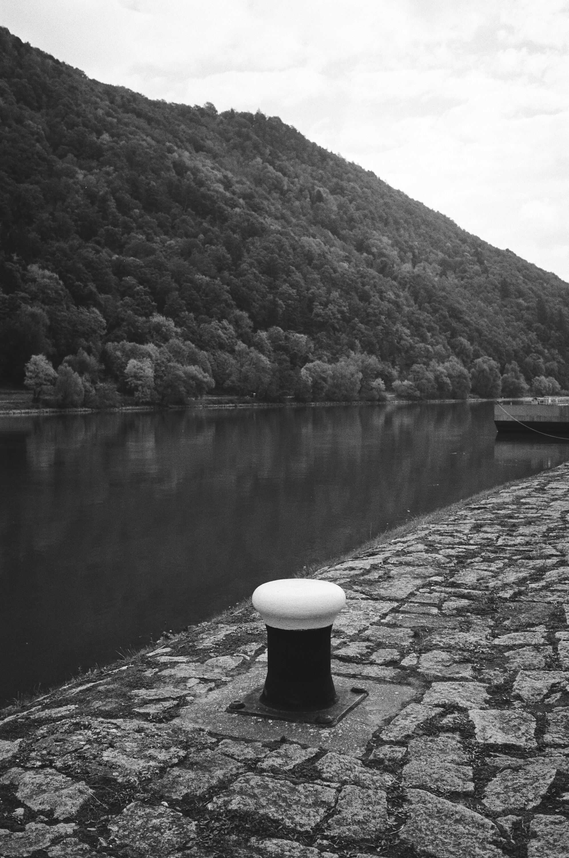 LEICA MP Leica MP 513486030015