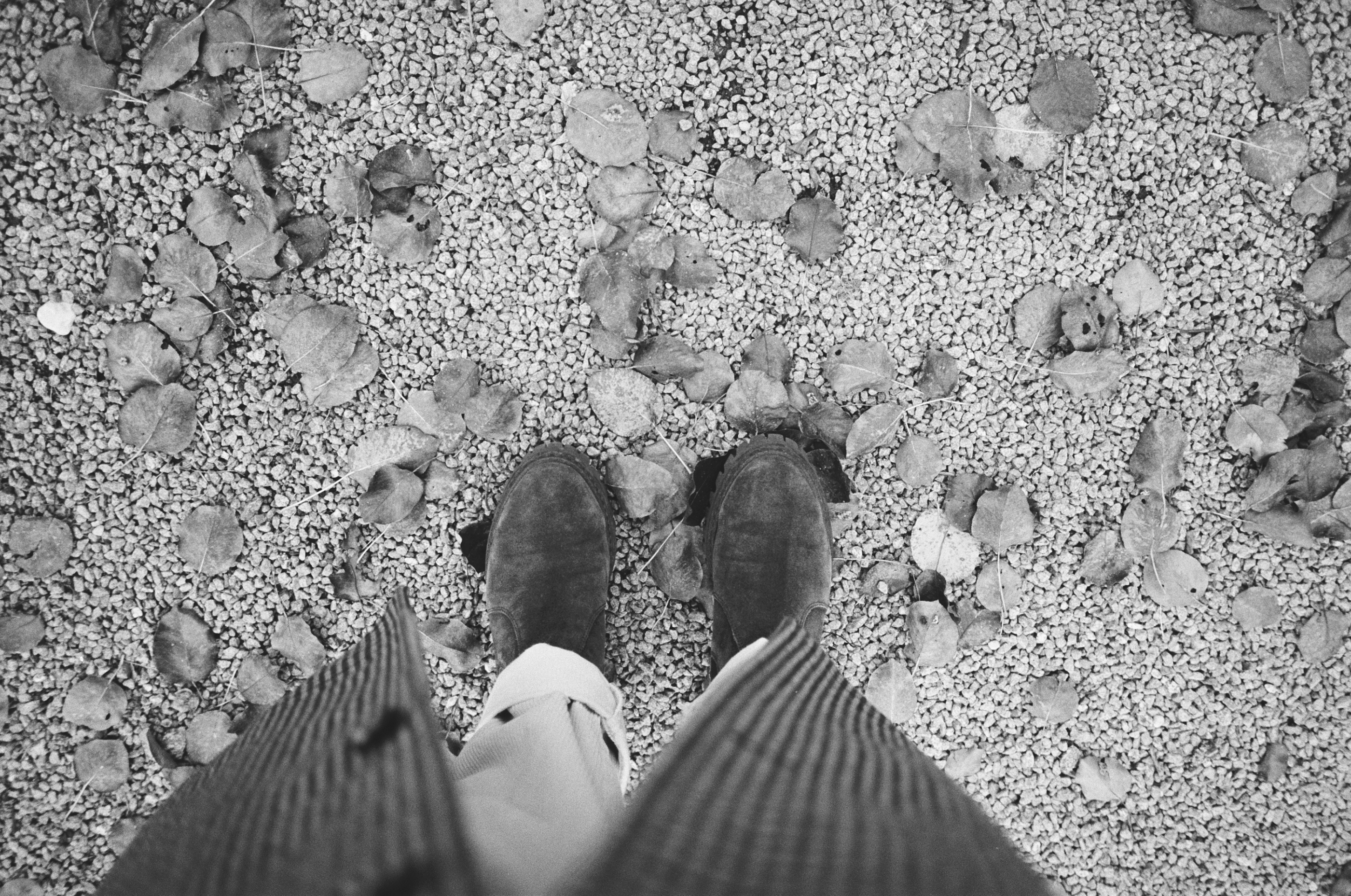 LEICA MP Leica MP 513486030019