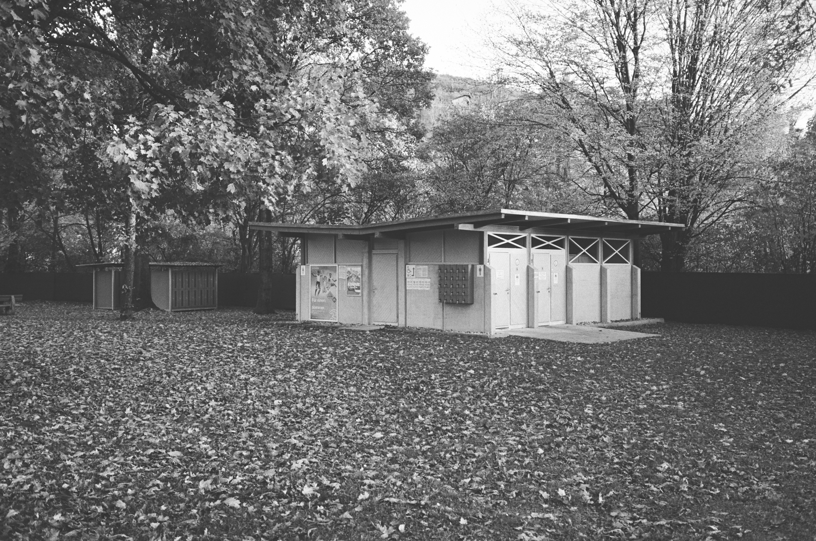 LEICA MP Leica MP 513486030021