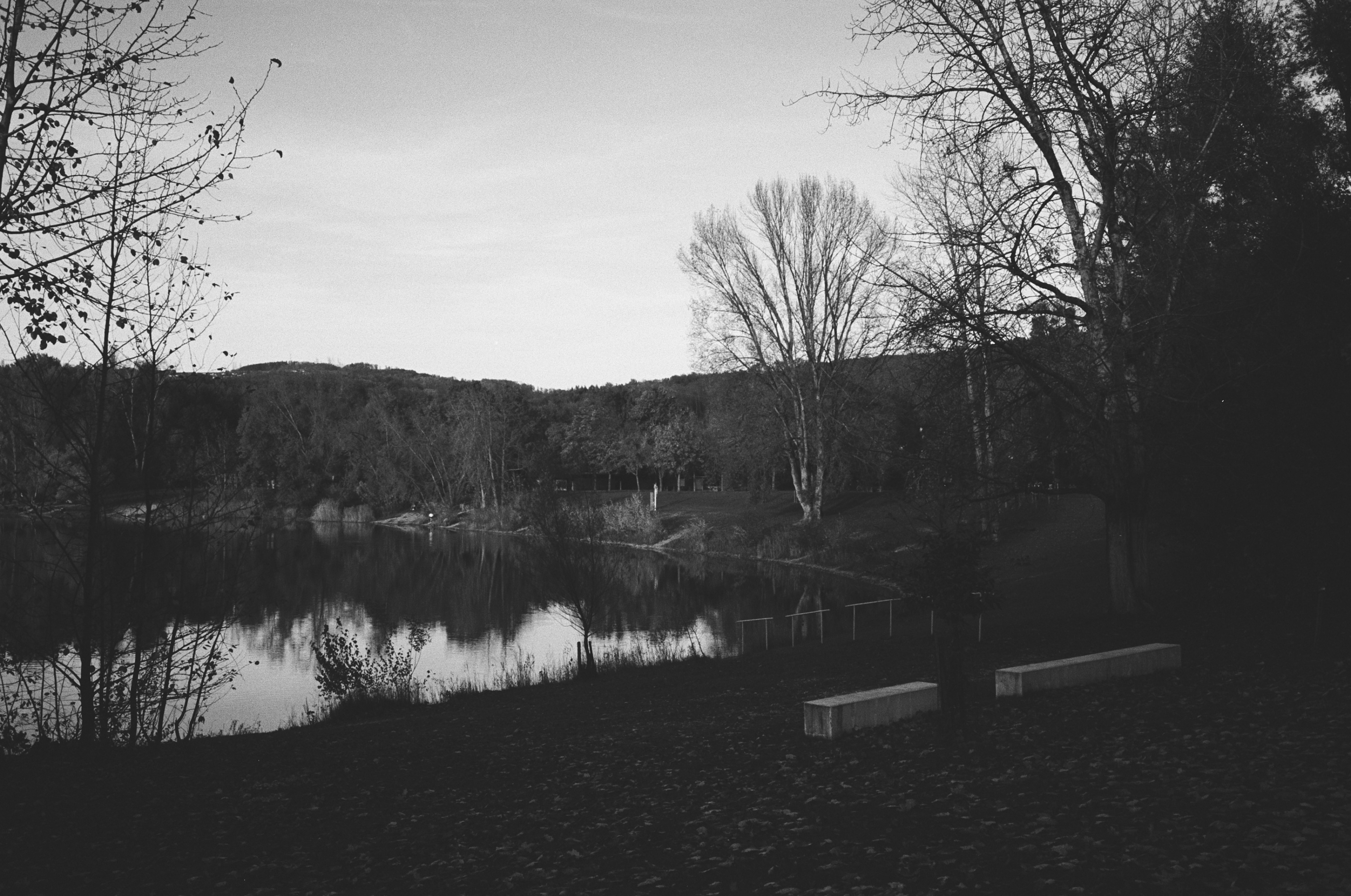 LEICA MP Leica MP 513486030022