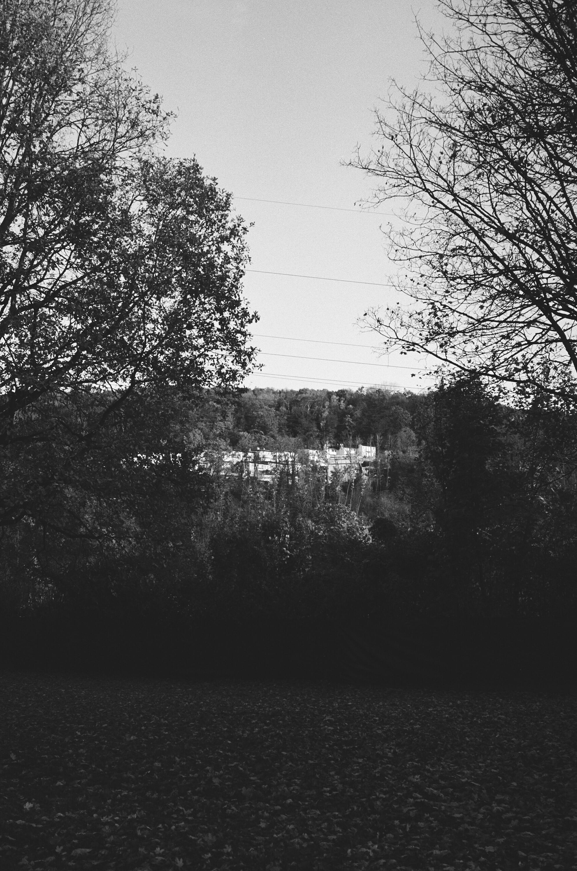 LEICA MP Leica MP 513486030024