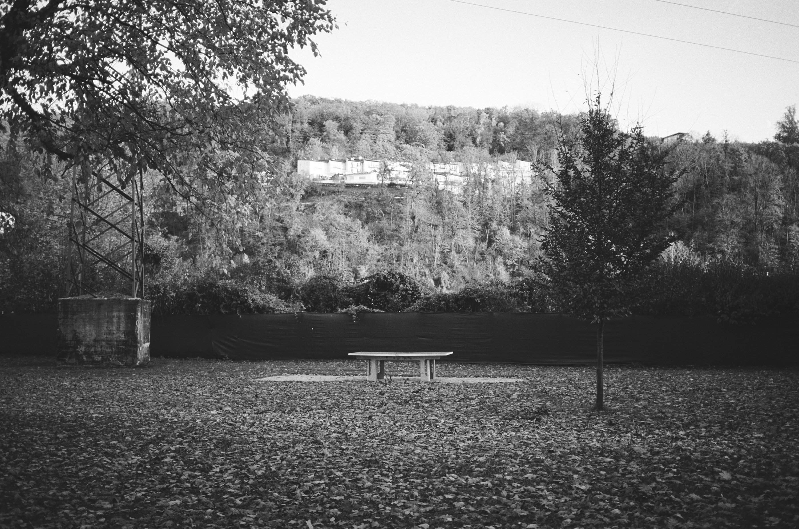 LEICA MP Leica MP 513486030025