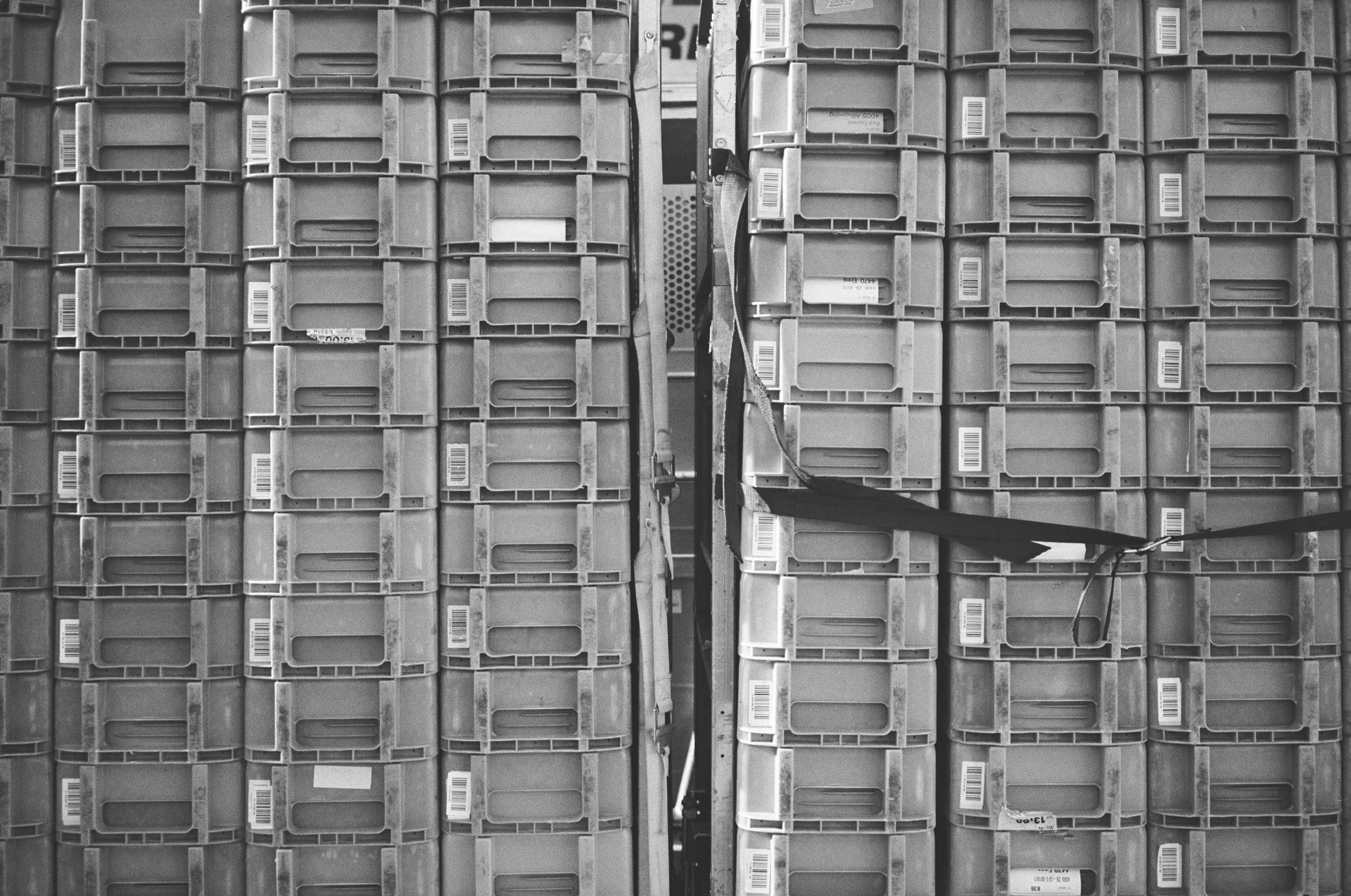 LEICA MP Leica MP 513486030033