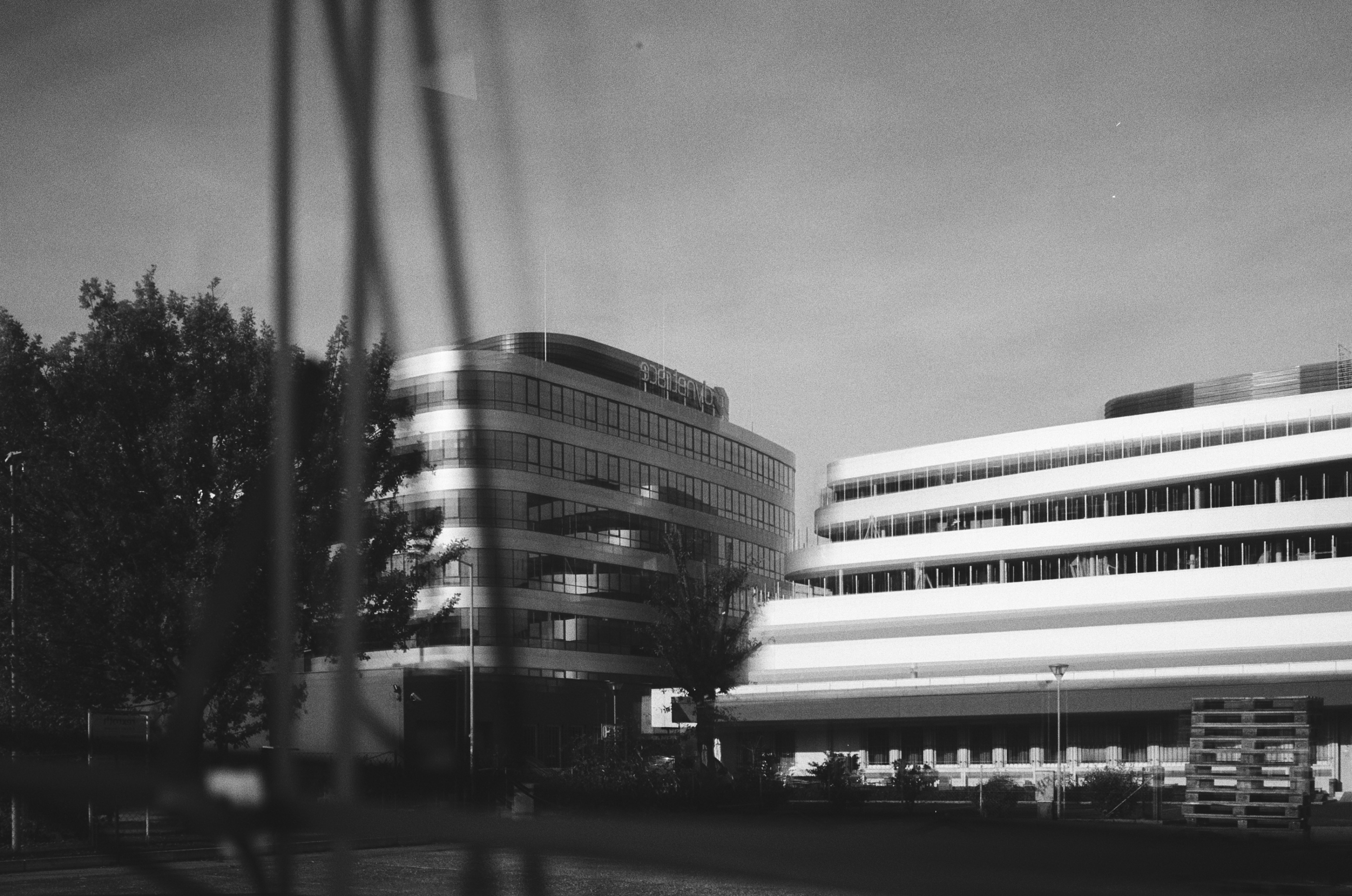 LEICA MP Leica MP 513486030034