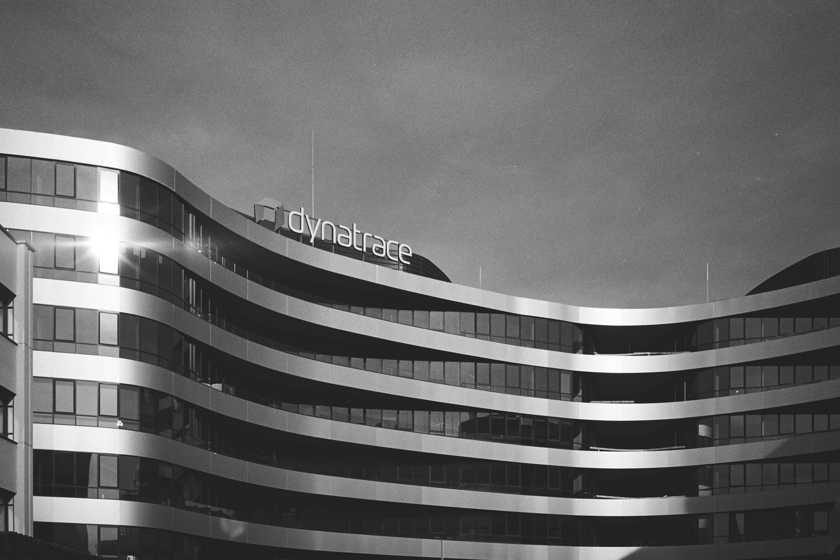 LEICA MP Leica MP 513486030036