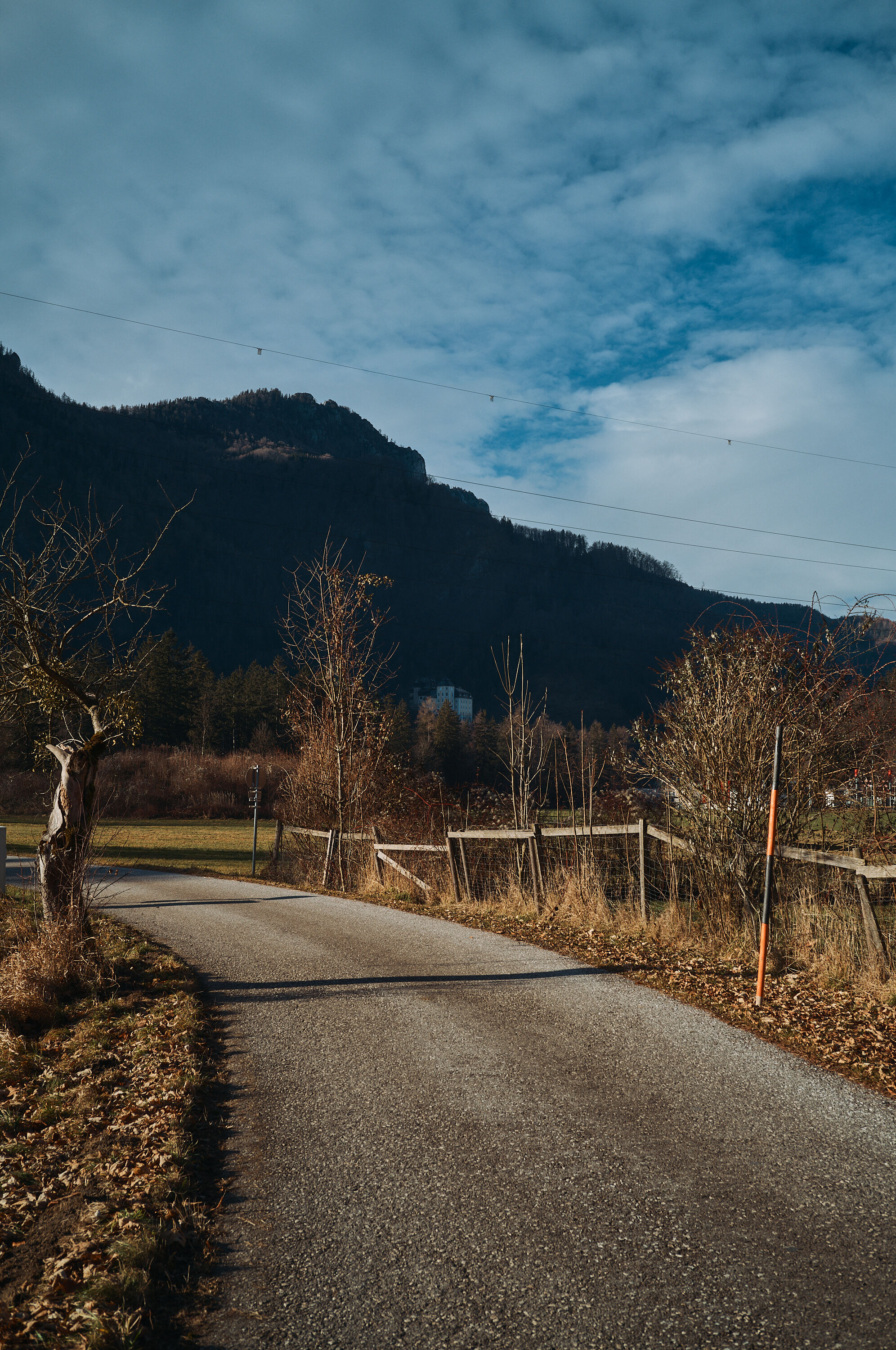 LEICA M11 P L1006065