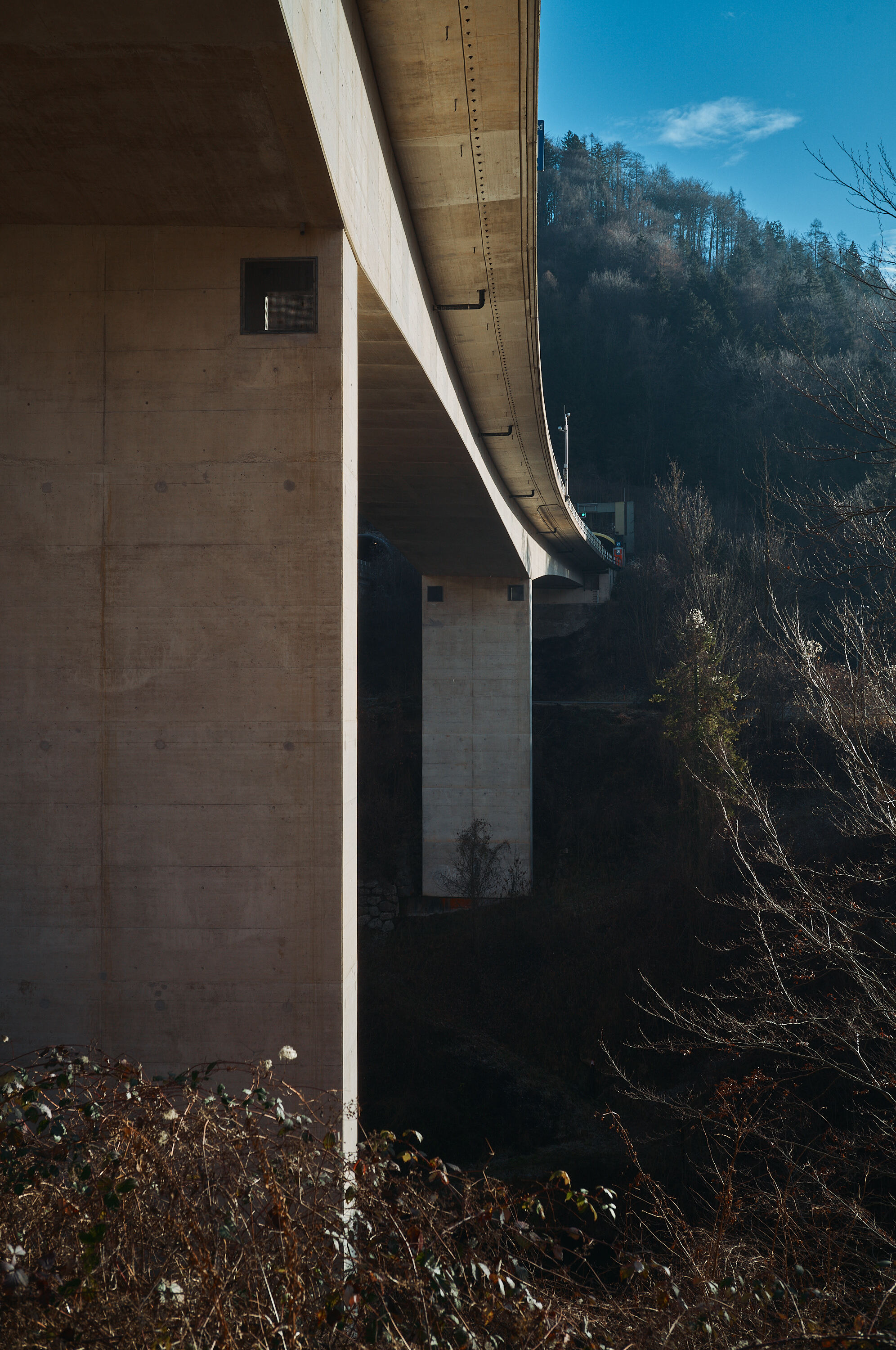 LEICA M11 P L1006083