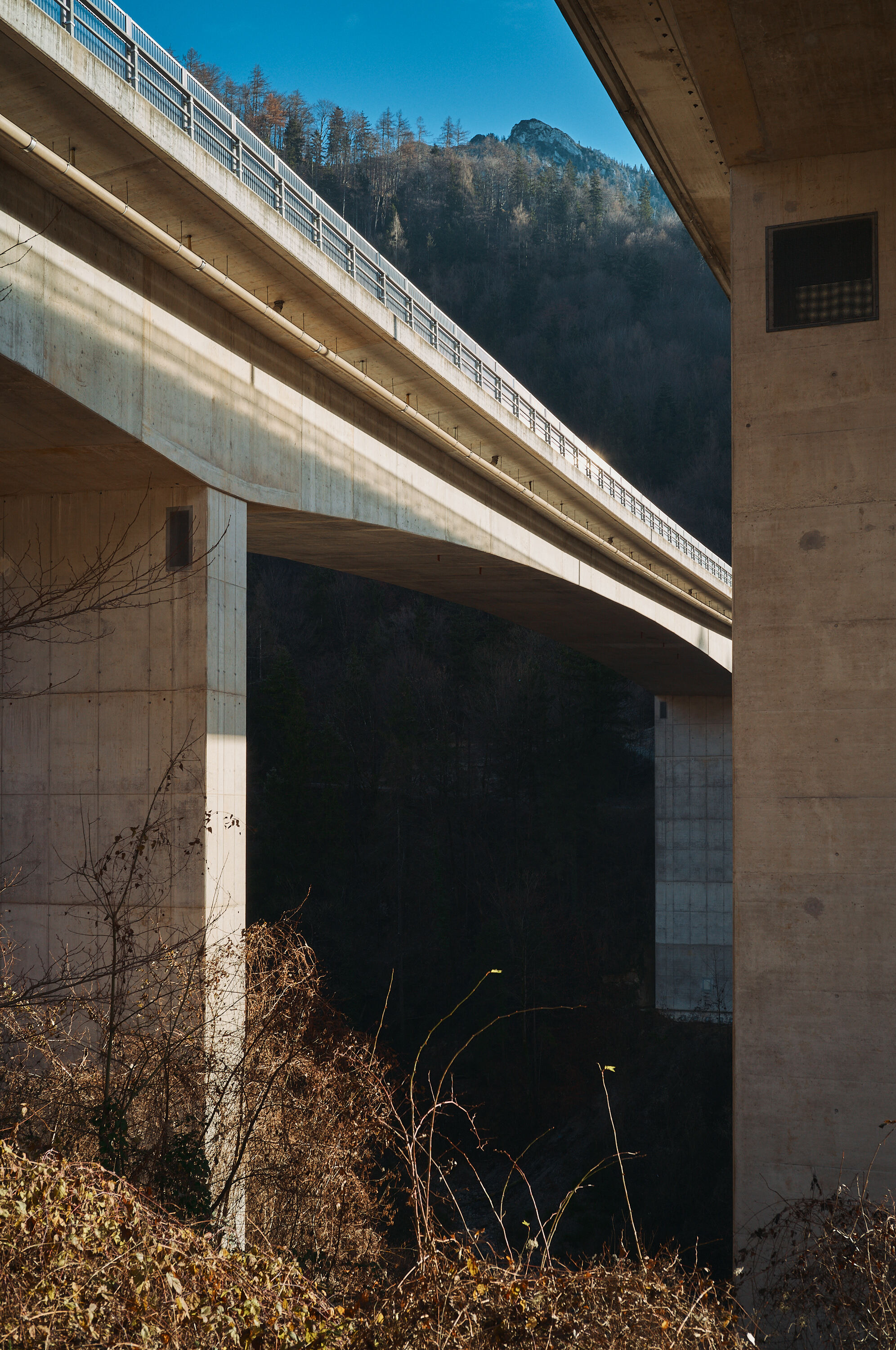 LEICA M11 P L1006084