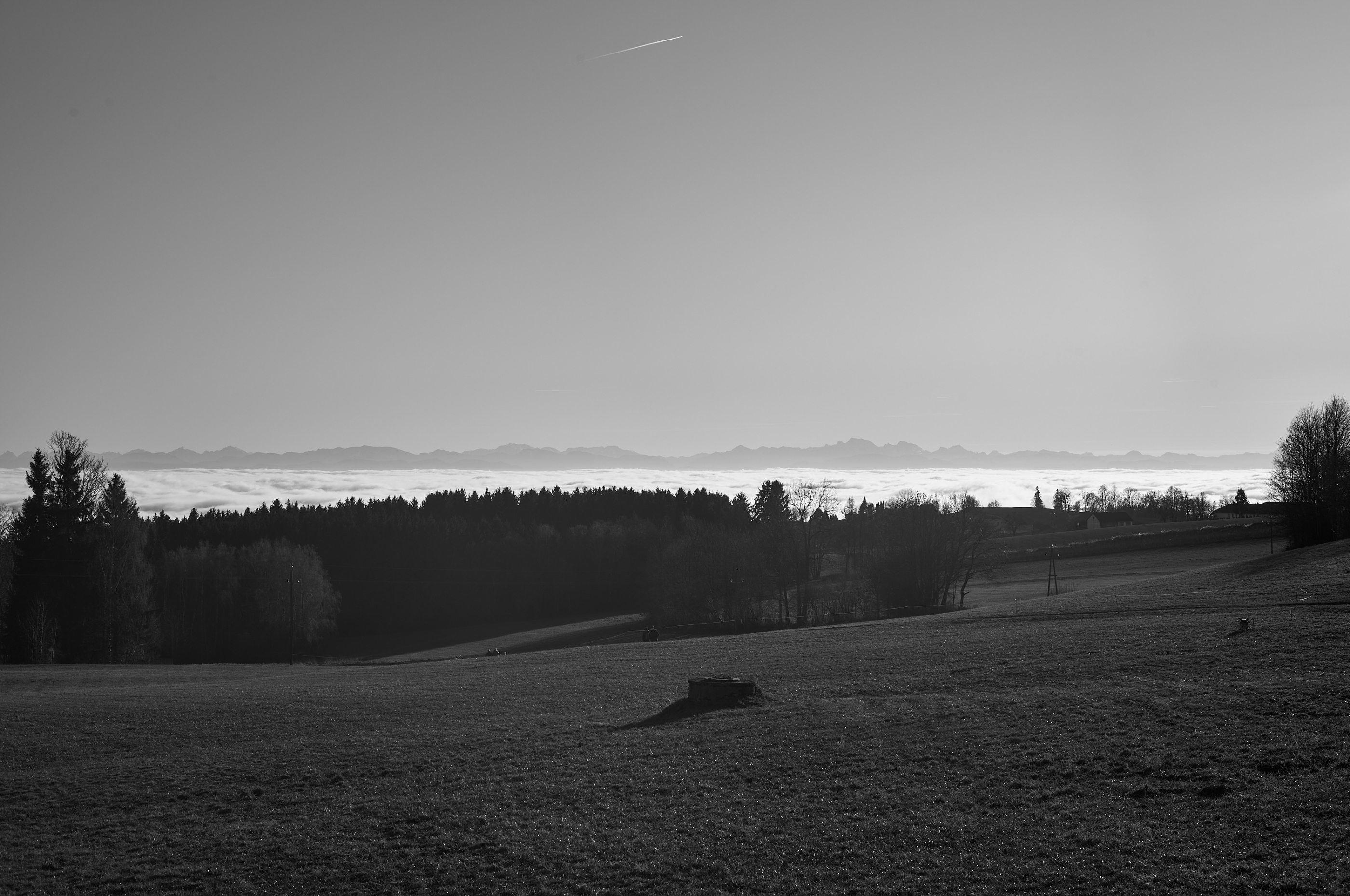 LEICA M11 Monochrom L1002955