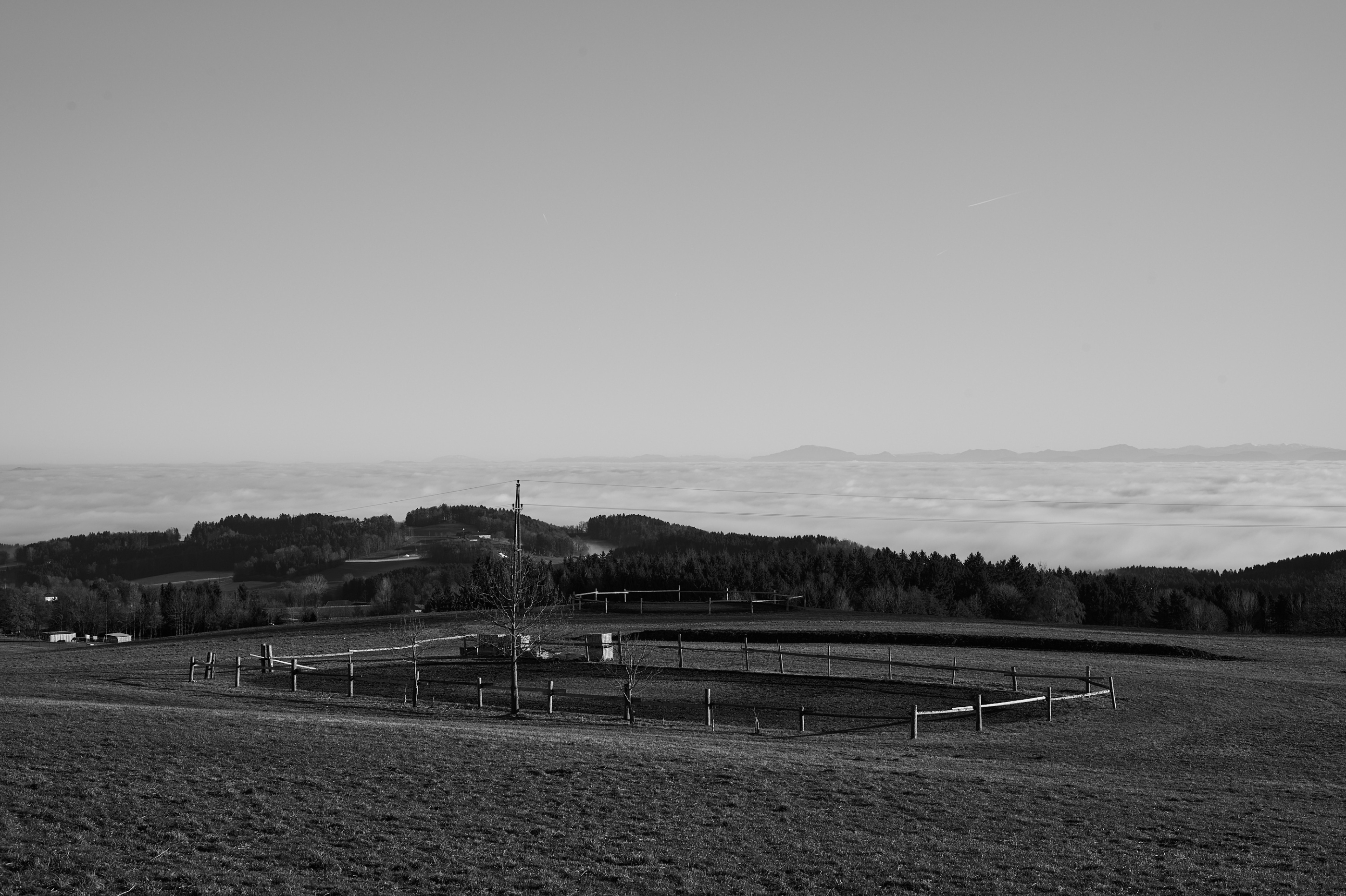 LEICA M11 Monochrom L1002956