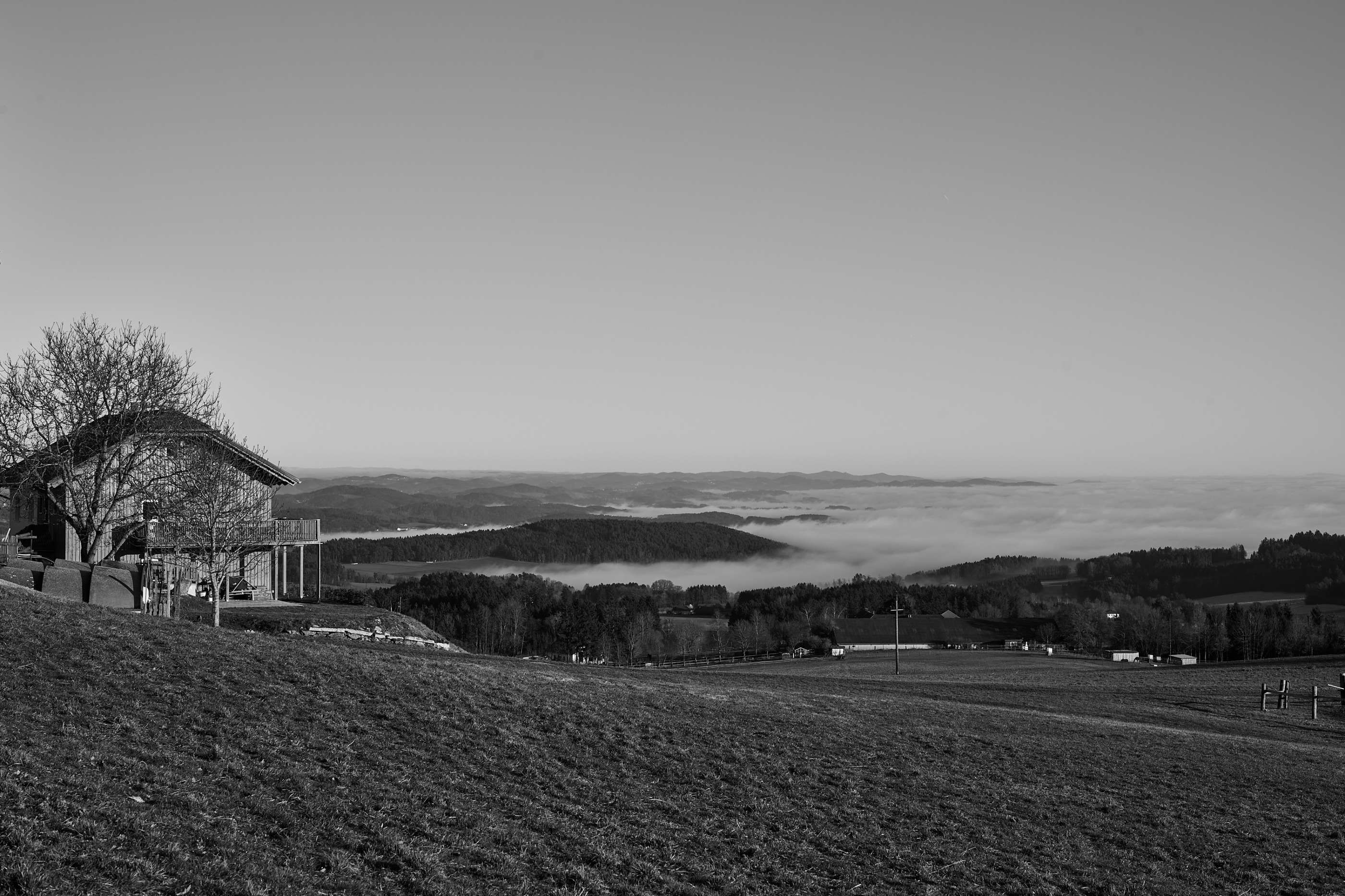 LEICA M11 Monochrom L1002957