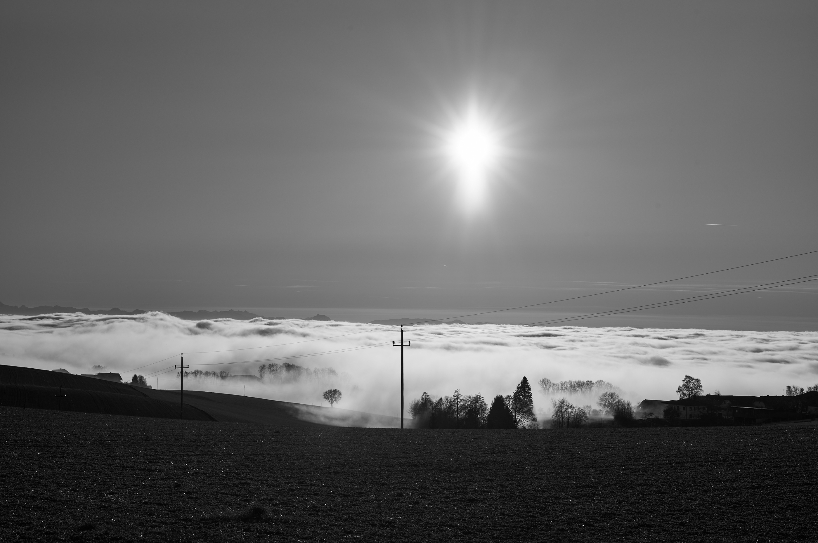 LEICA M11 Monochrom L1002958