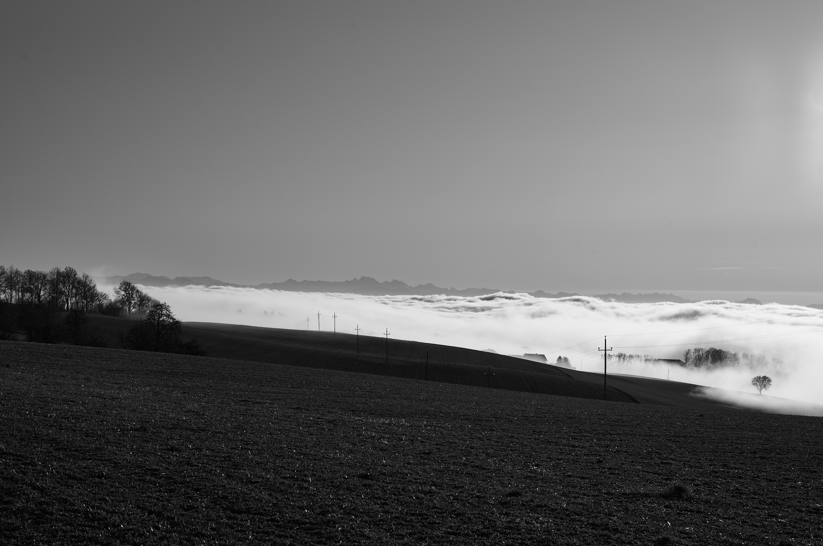 LEICA M11 Monochrom L1002959