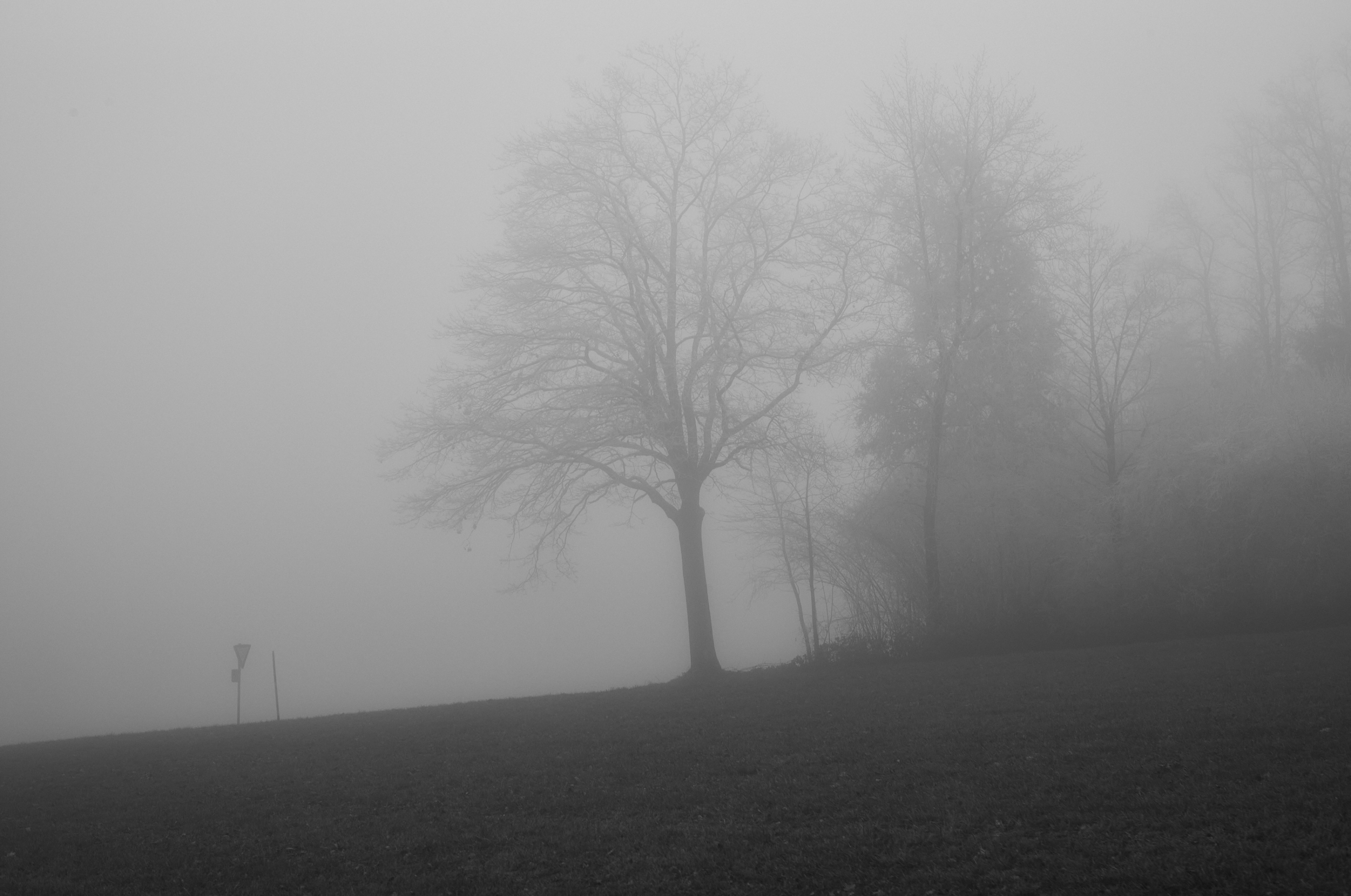 LEICA M11 Monochrom L1002967